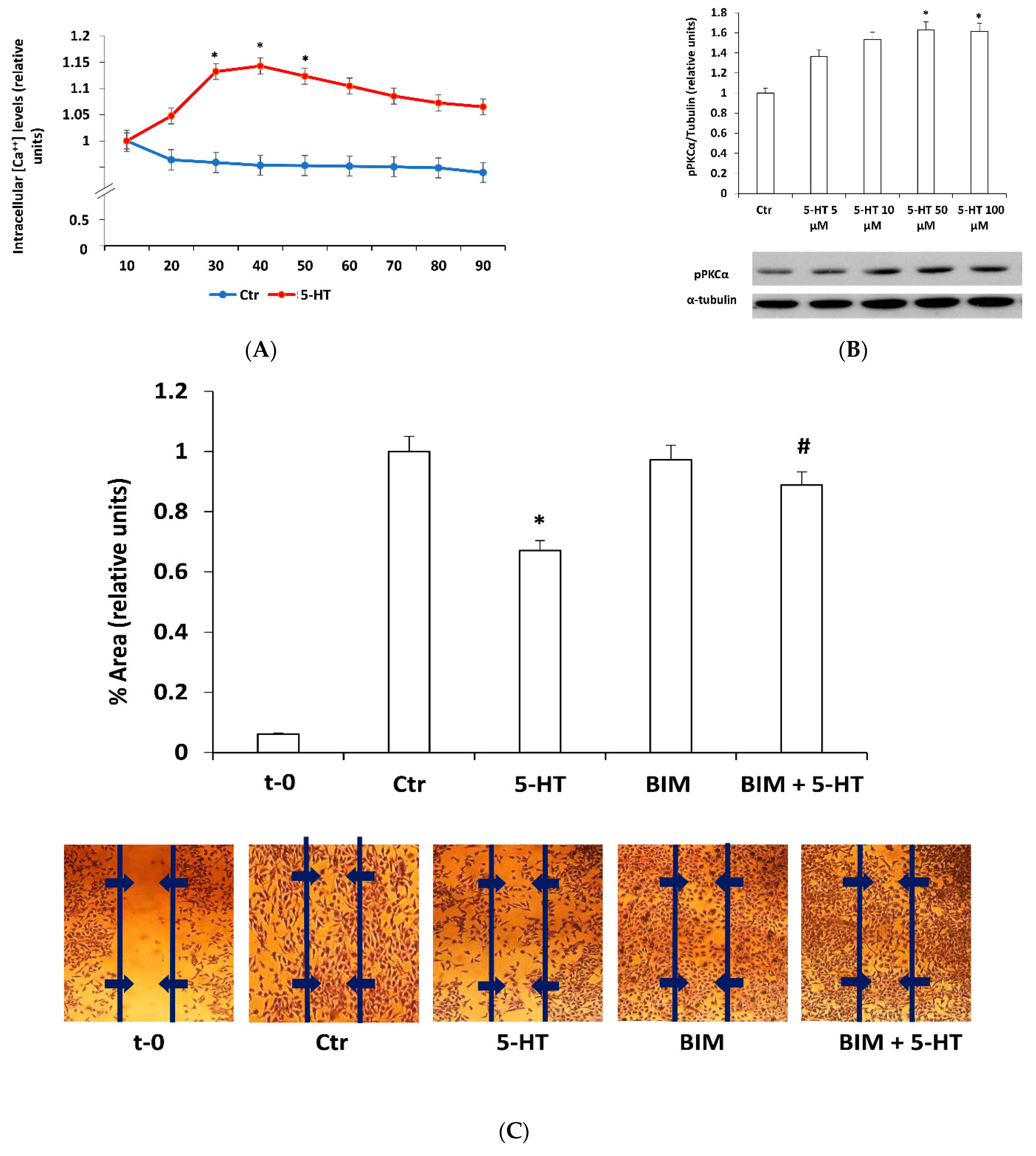 Ijms 22 02621 g002 Ijms 22 02621 g002