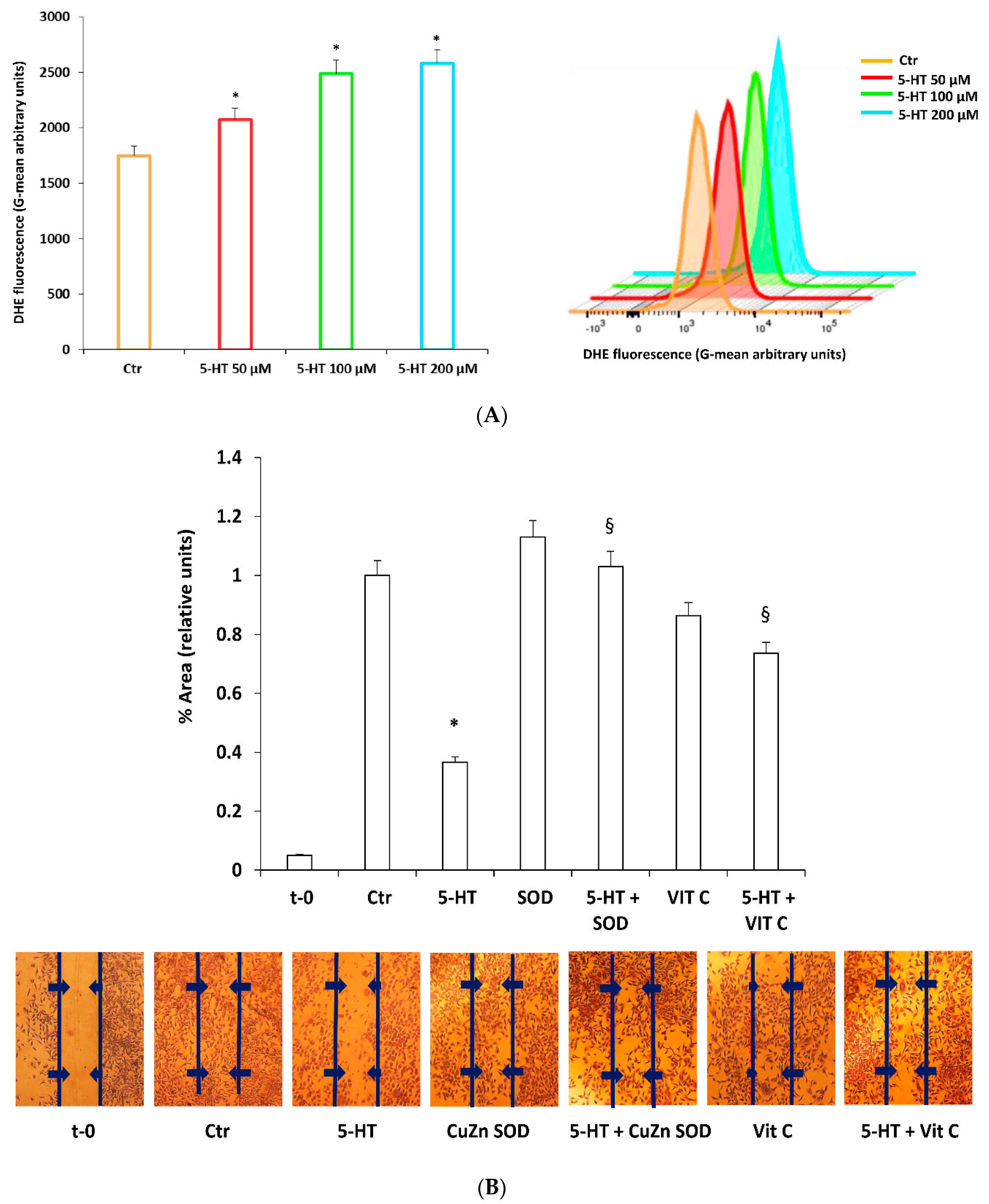 Ijms 22 02621 g003 Ijms 22 02621 g003