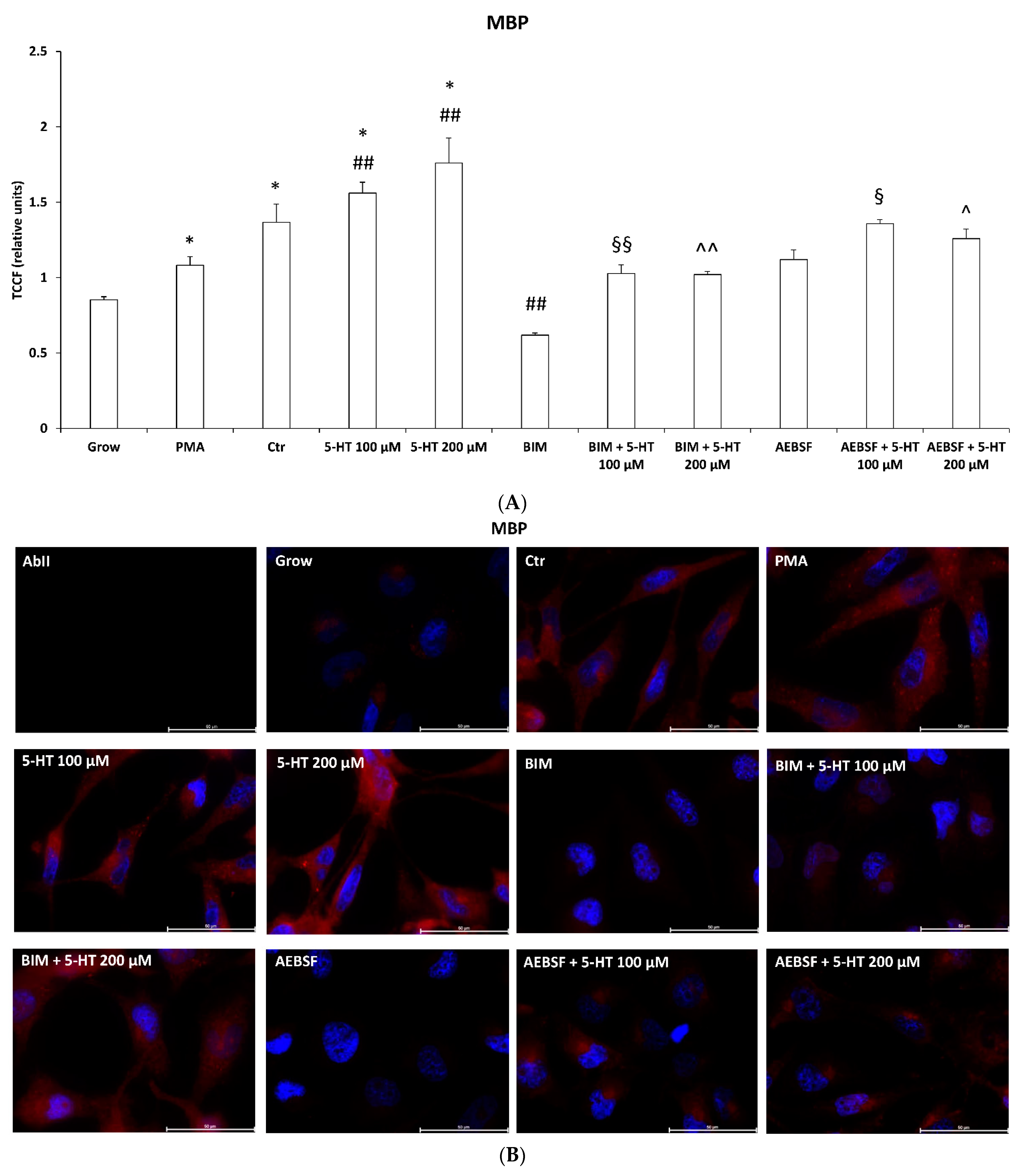 Ijms 22 02621 g006a Ijms 22 02621 g006a