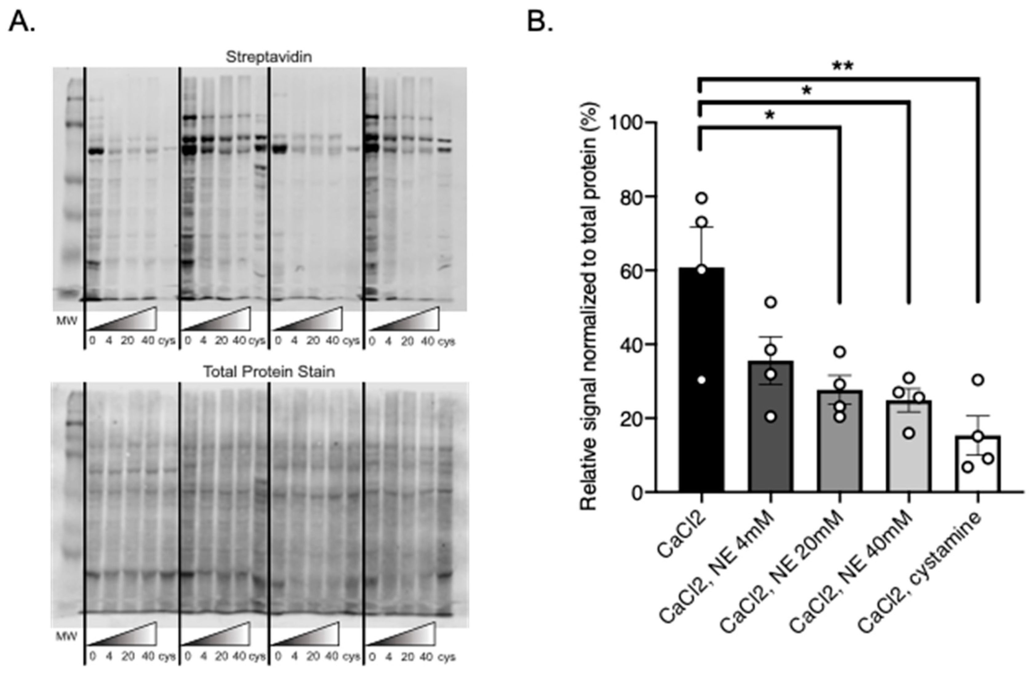 Ijms 22 02649 g006 Ijms 22 02649 g006