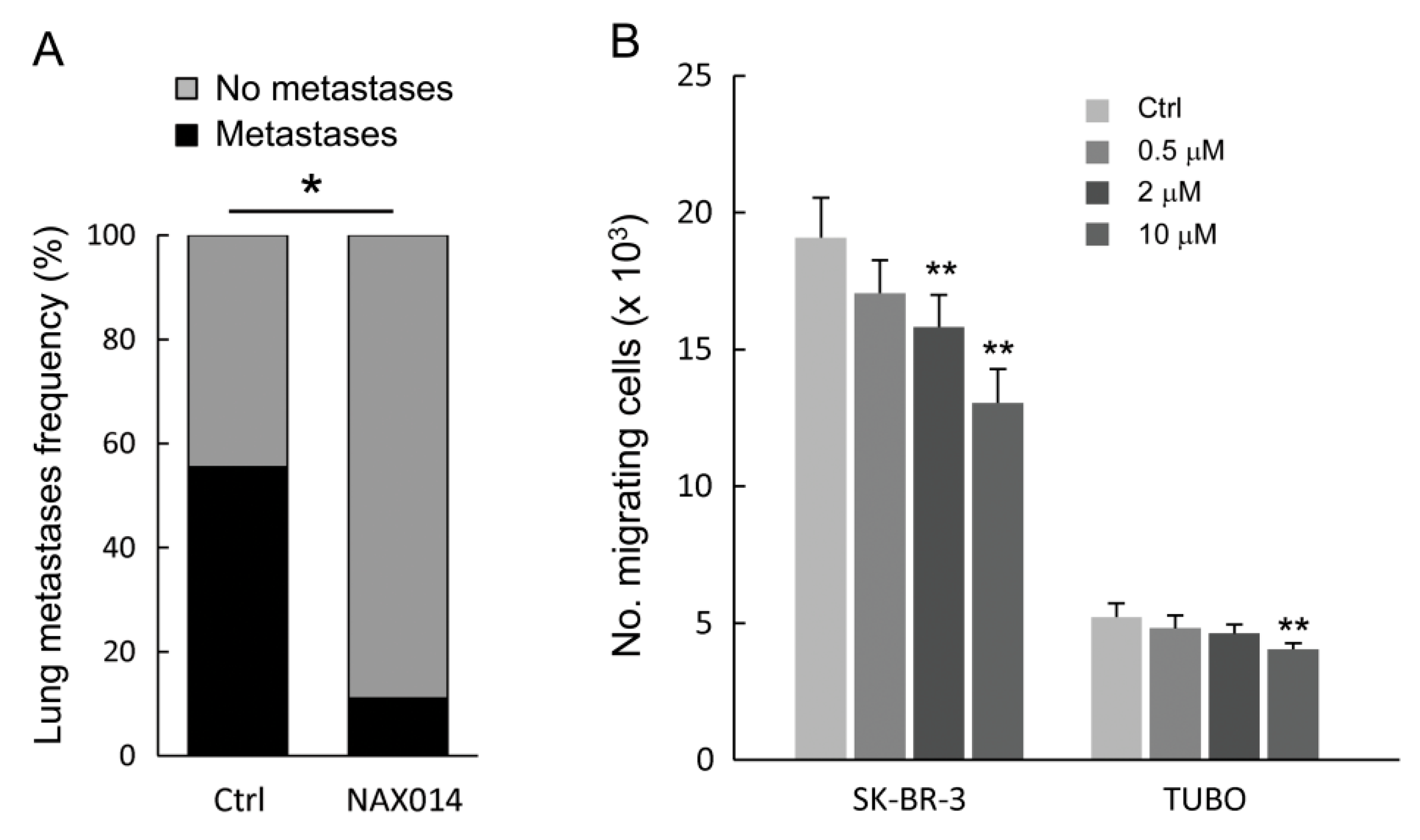 Ijms 22 02653 g002 Ijms 22 02653 g002