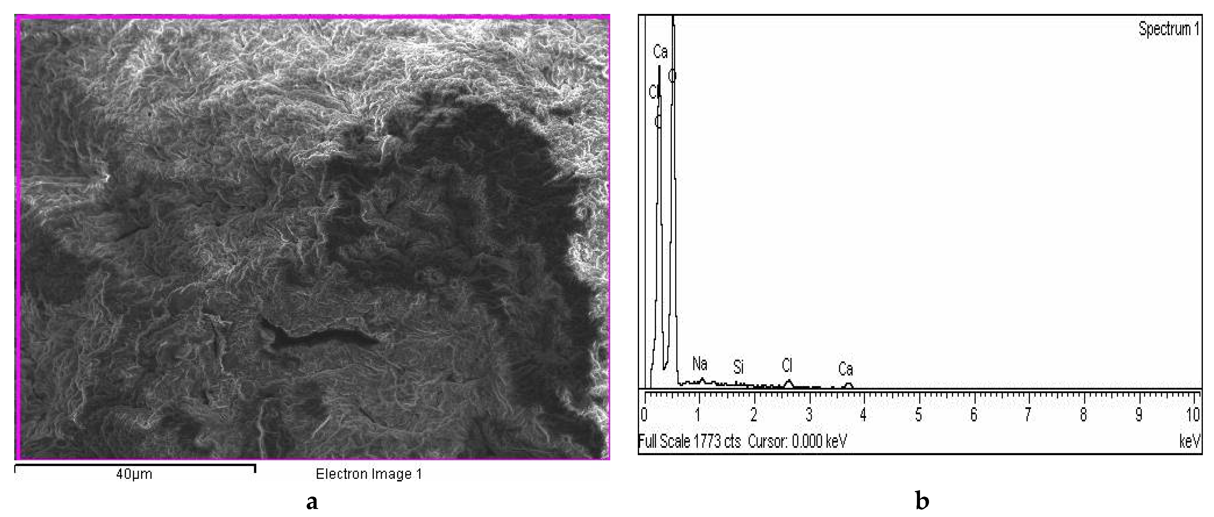 Ijms 22 02663 g004a Ijms 22 02663 g004a