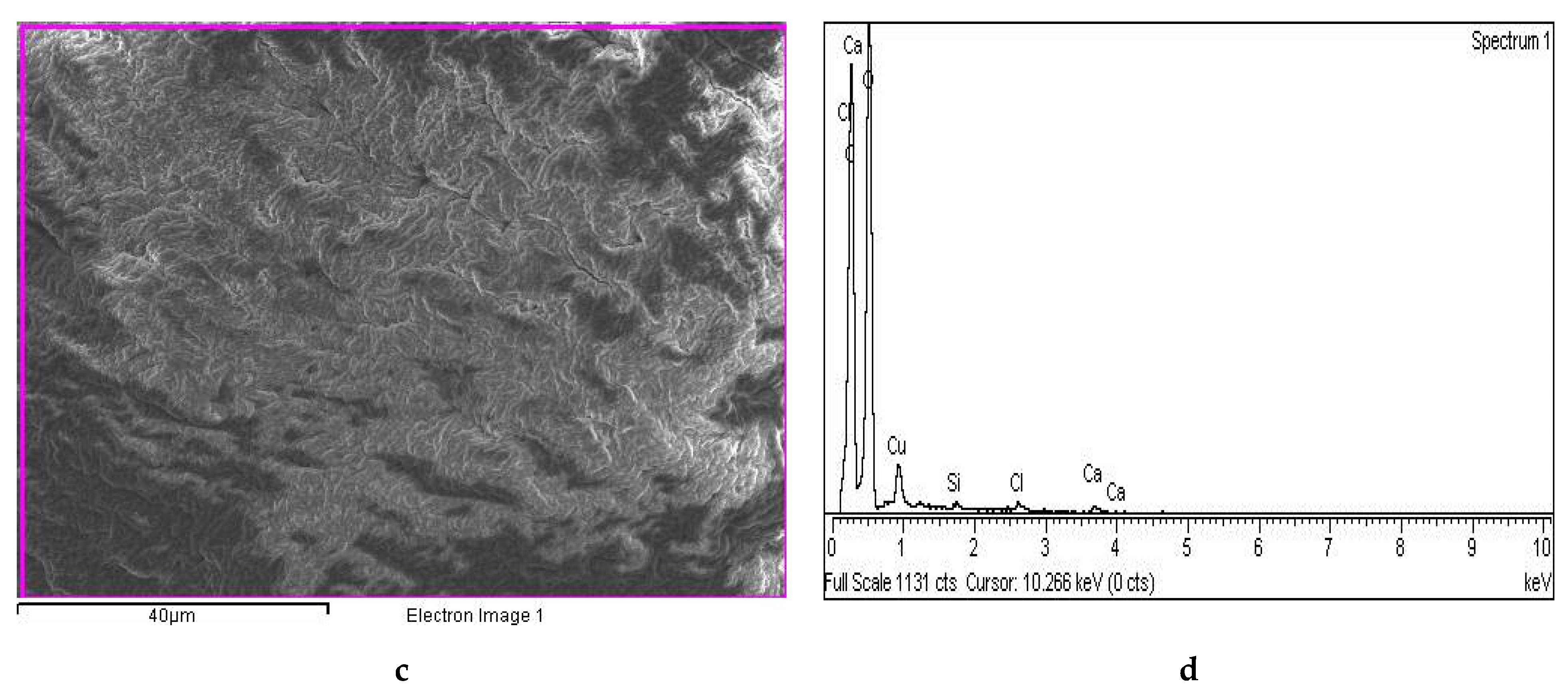 Ijms 22 02663 g004b Ijms 22 02663 g004b