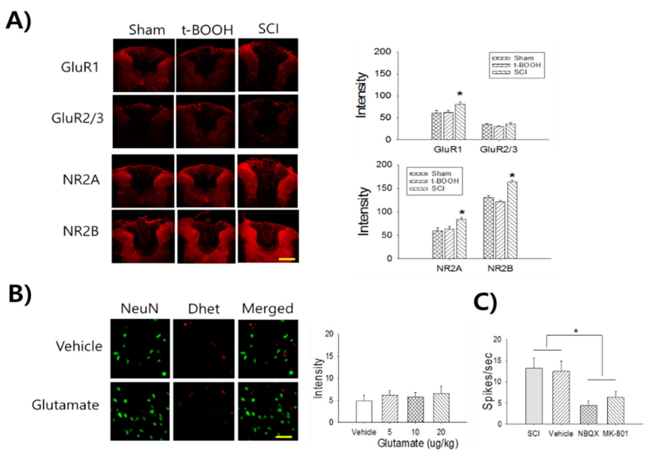 Ijms 22 02672 g002 Ijms 22 02672 g002