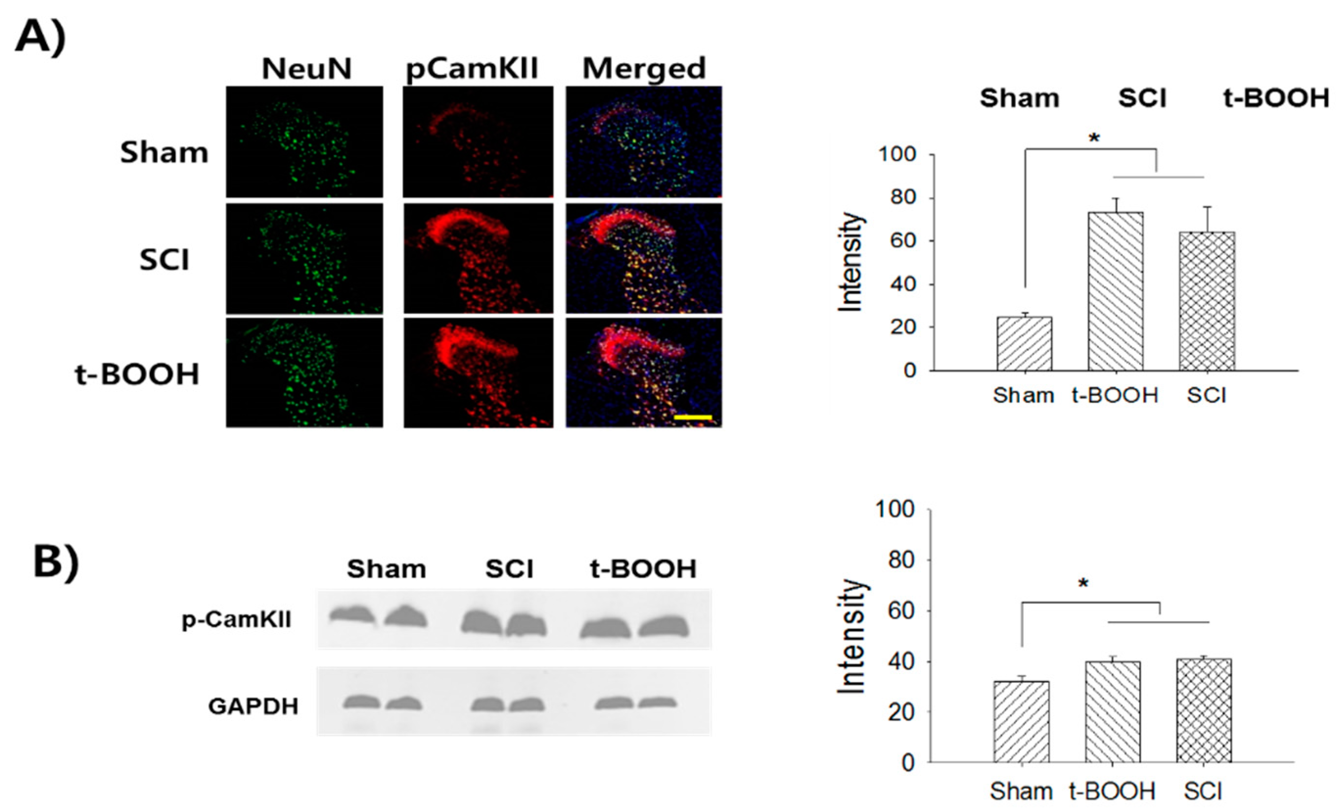 Ijms 22 02672 g003 Ijms 22 02672 g003