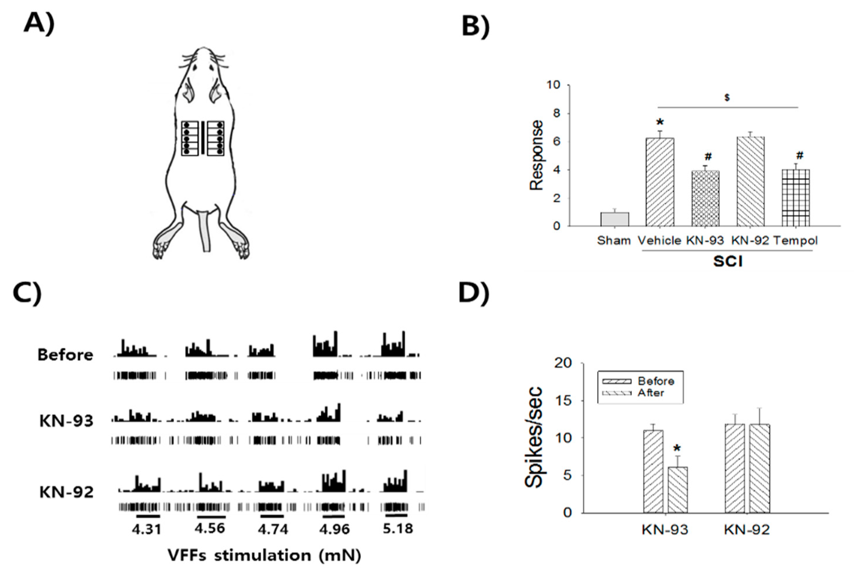 Ijms 22 02672 g004 Ijms 22 02672 g004