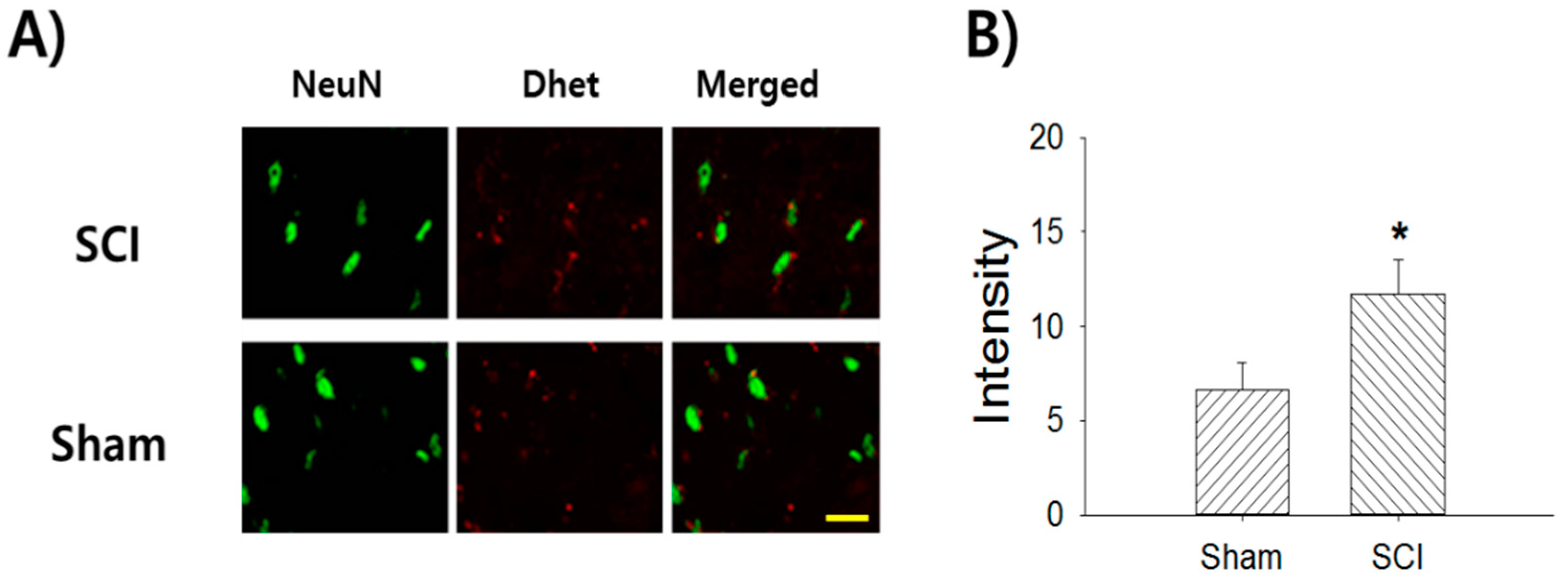 Ijms 22 02672 g005 Ijms 22 02672 g005