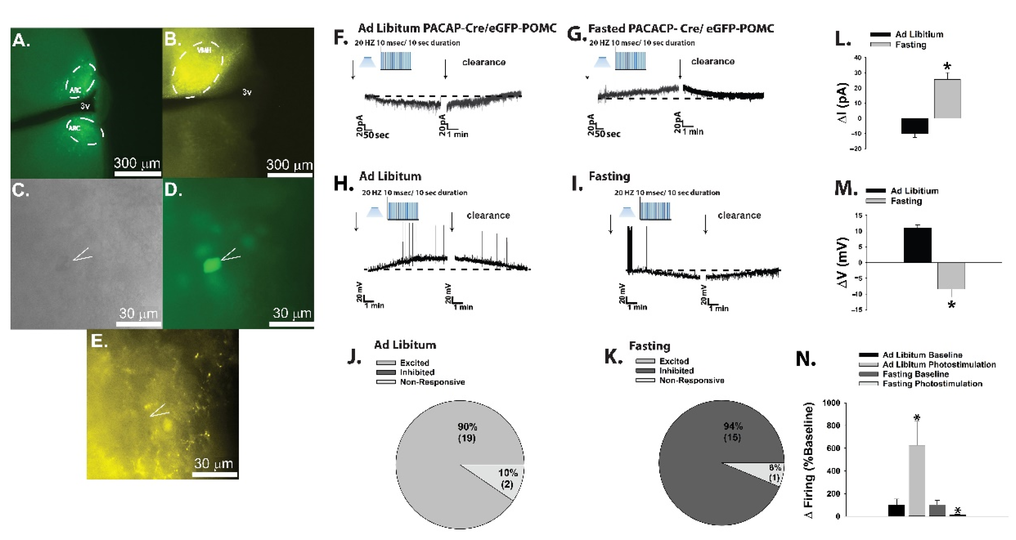 Ijms 22 02728 g005 Ijms 22 02728 g005