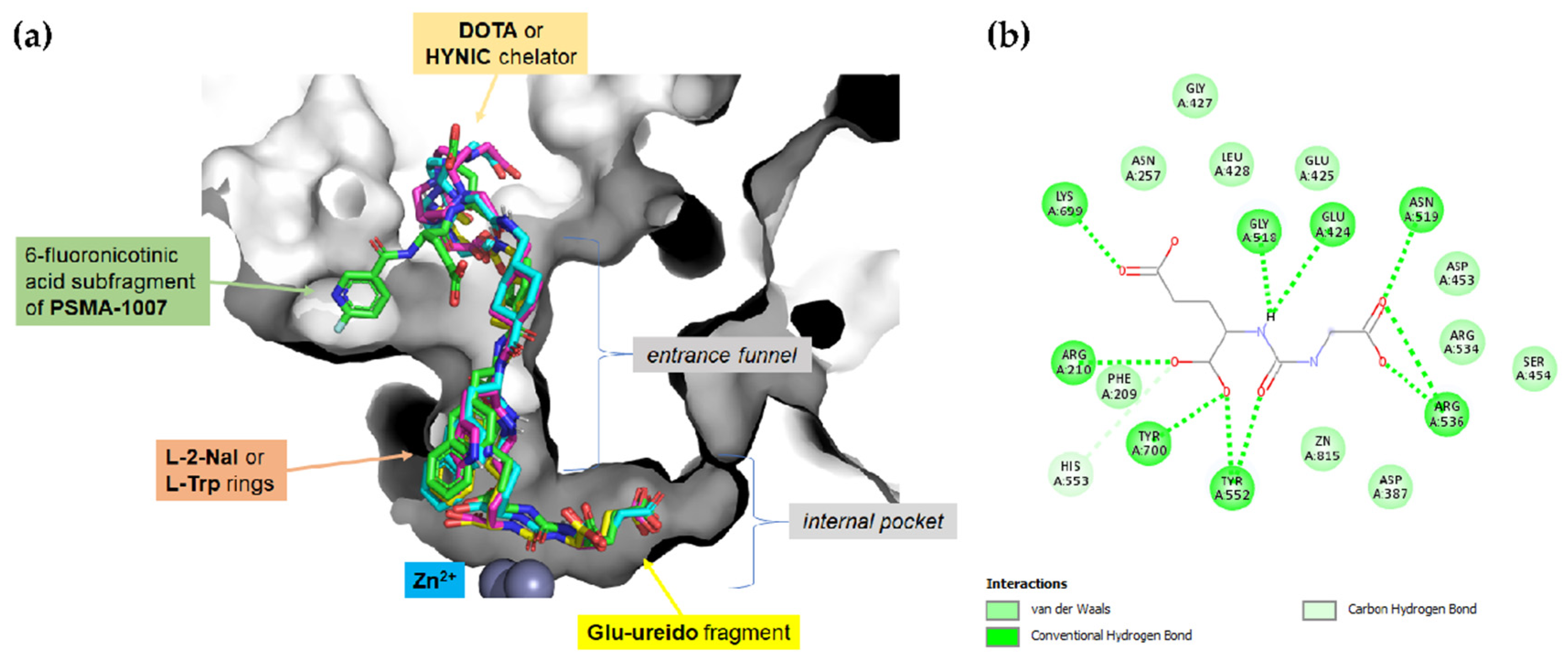 Ijms 22 02731 g002 Ijms 22 02731 g002