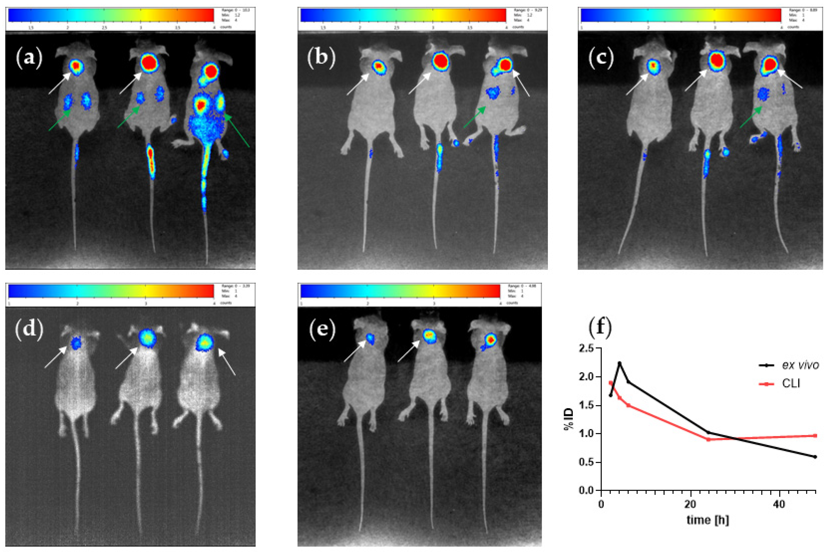Ijms 22 02731 g005 Ijms 22 02731 g005
