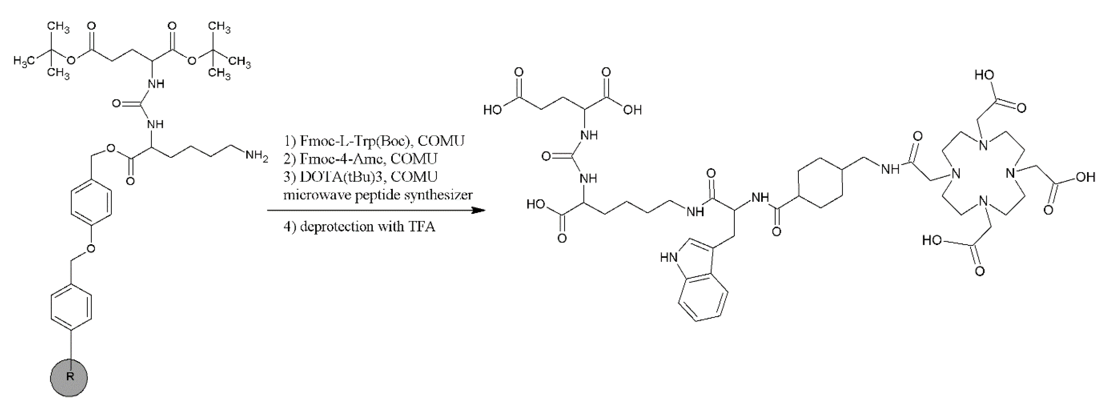 Ijms 22 02731 sch002 Ijms 22 02731 sch002