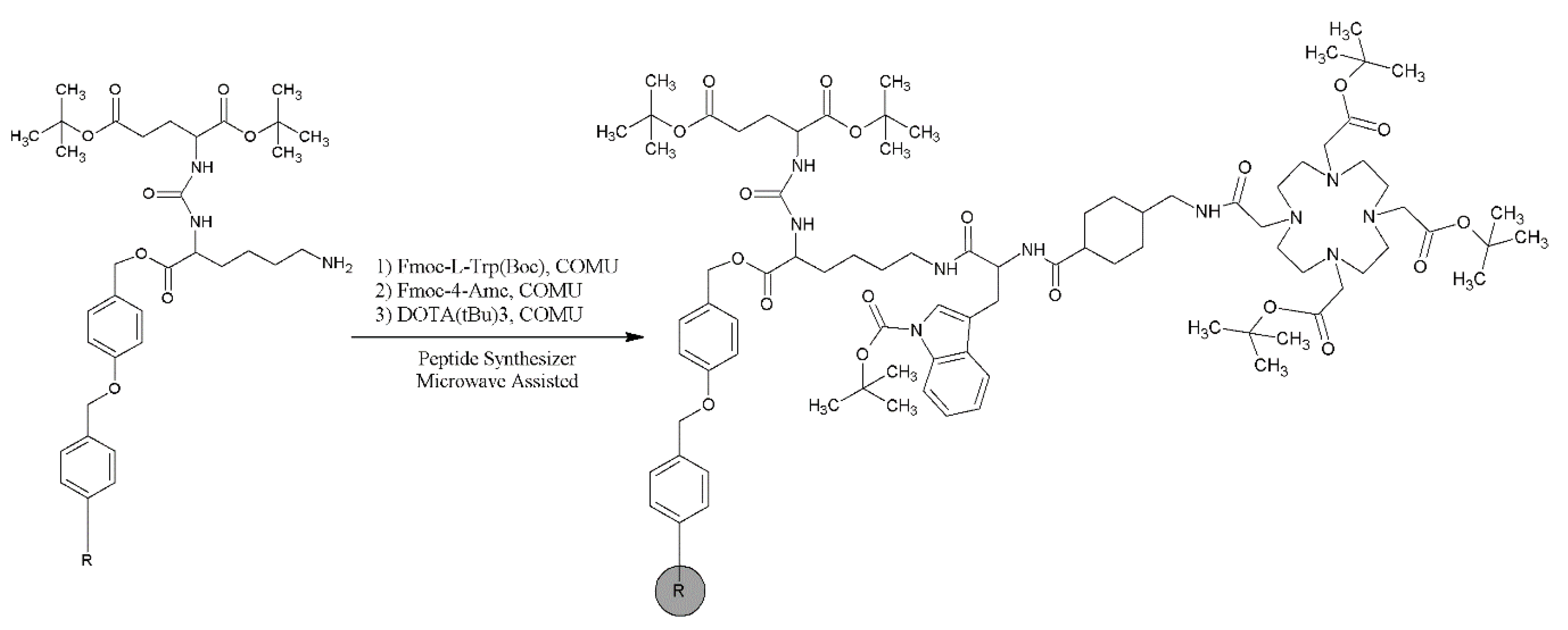 Ijms 22 02731 sch0a2 Ijms 22 02731 sch0a2