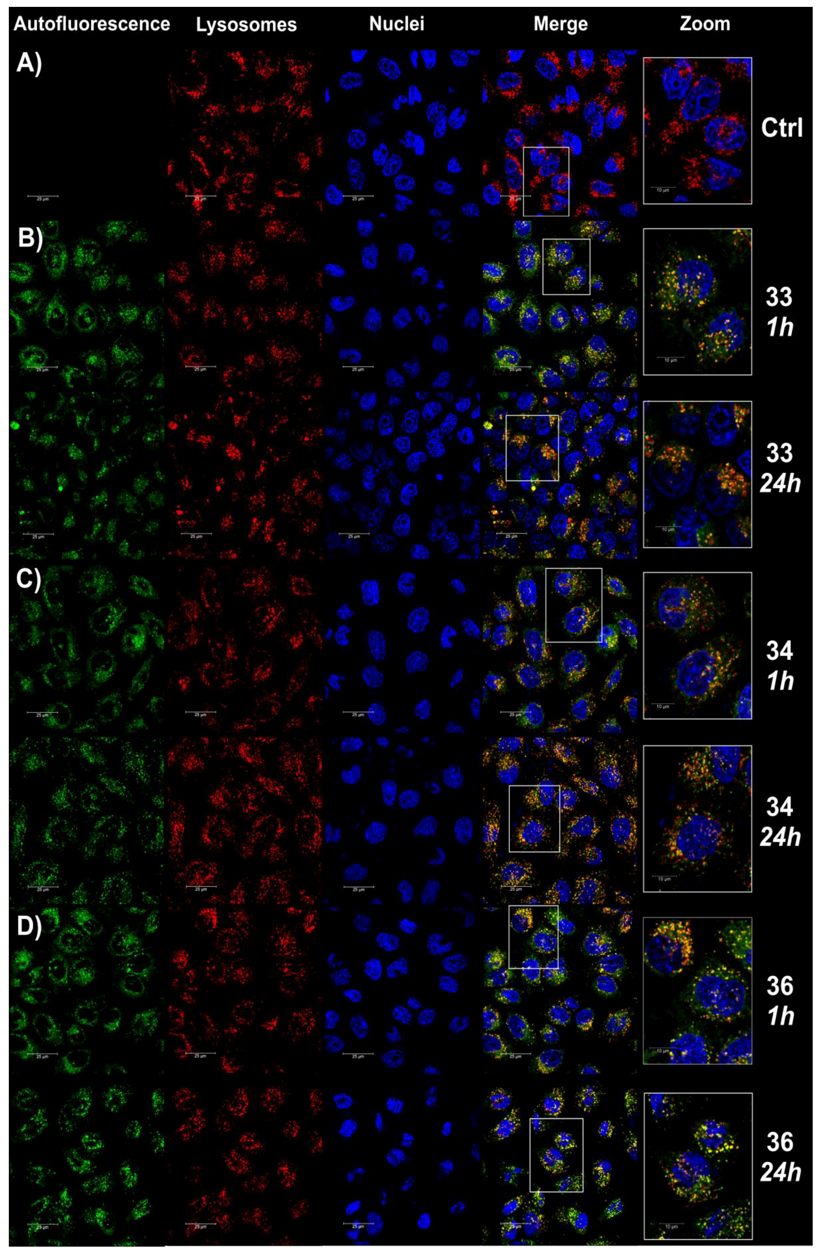 Ijms 22 02772 g007 Ijms 22 02772 g007