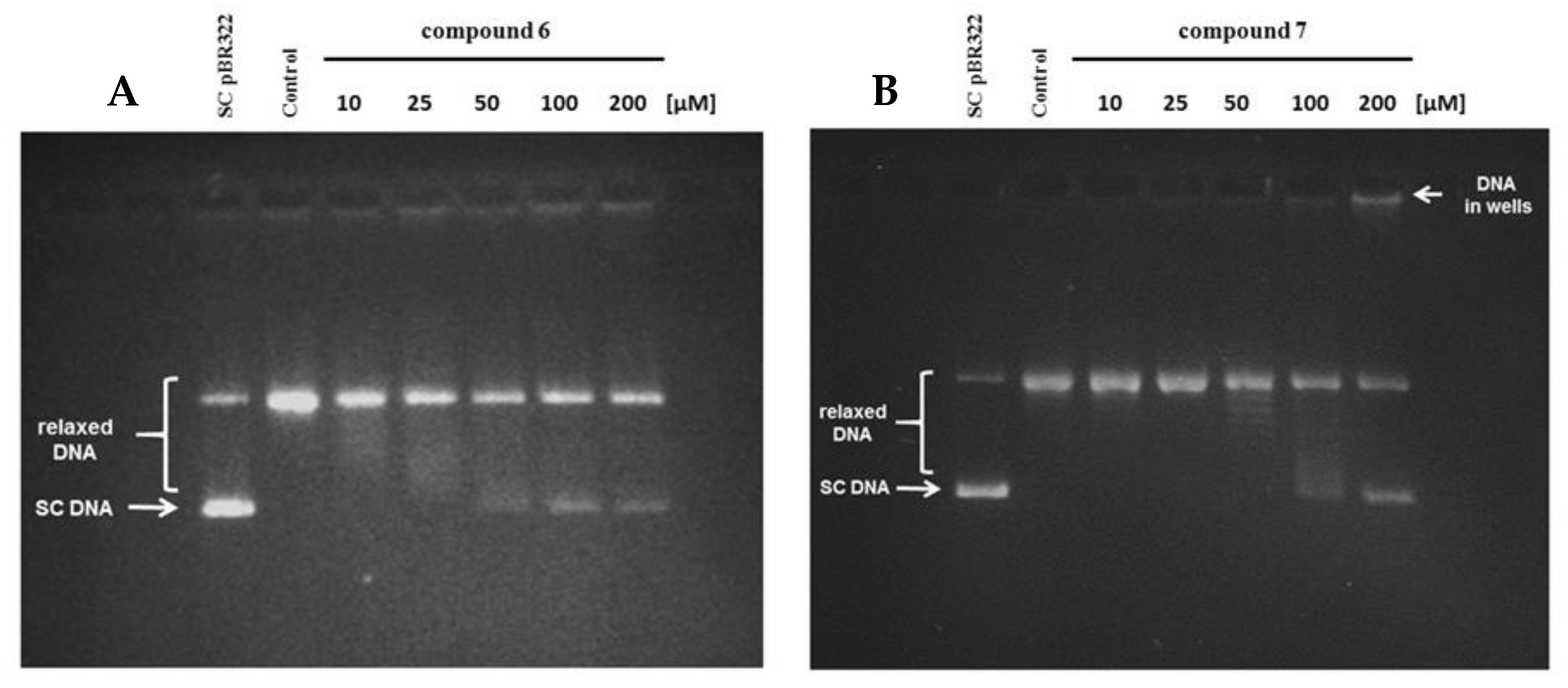 Ijms 22 02772 g008 Ijms 22 02772 g008