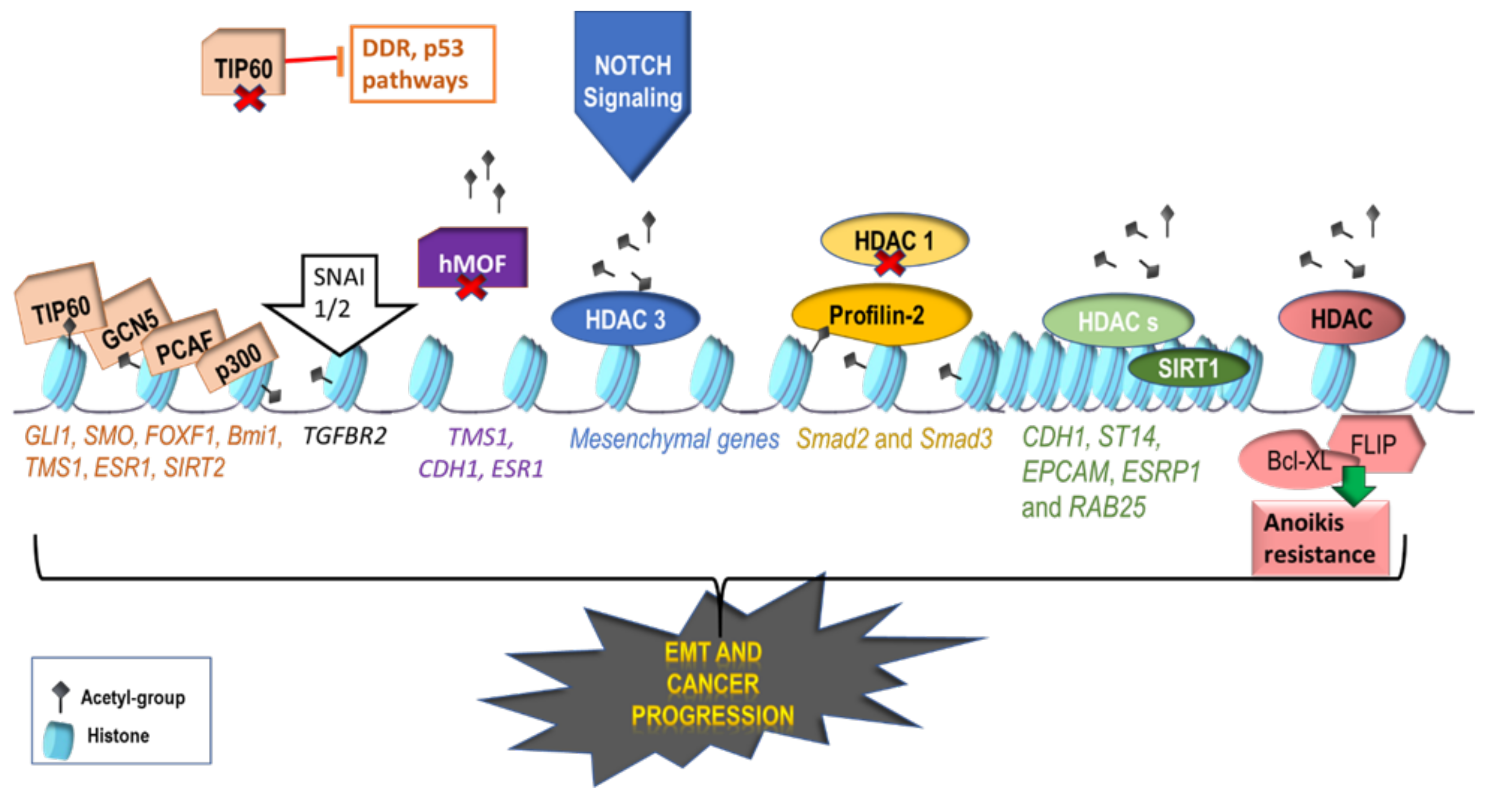 Ijms 22 02778 g002 Ijms 22 02778 g002