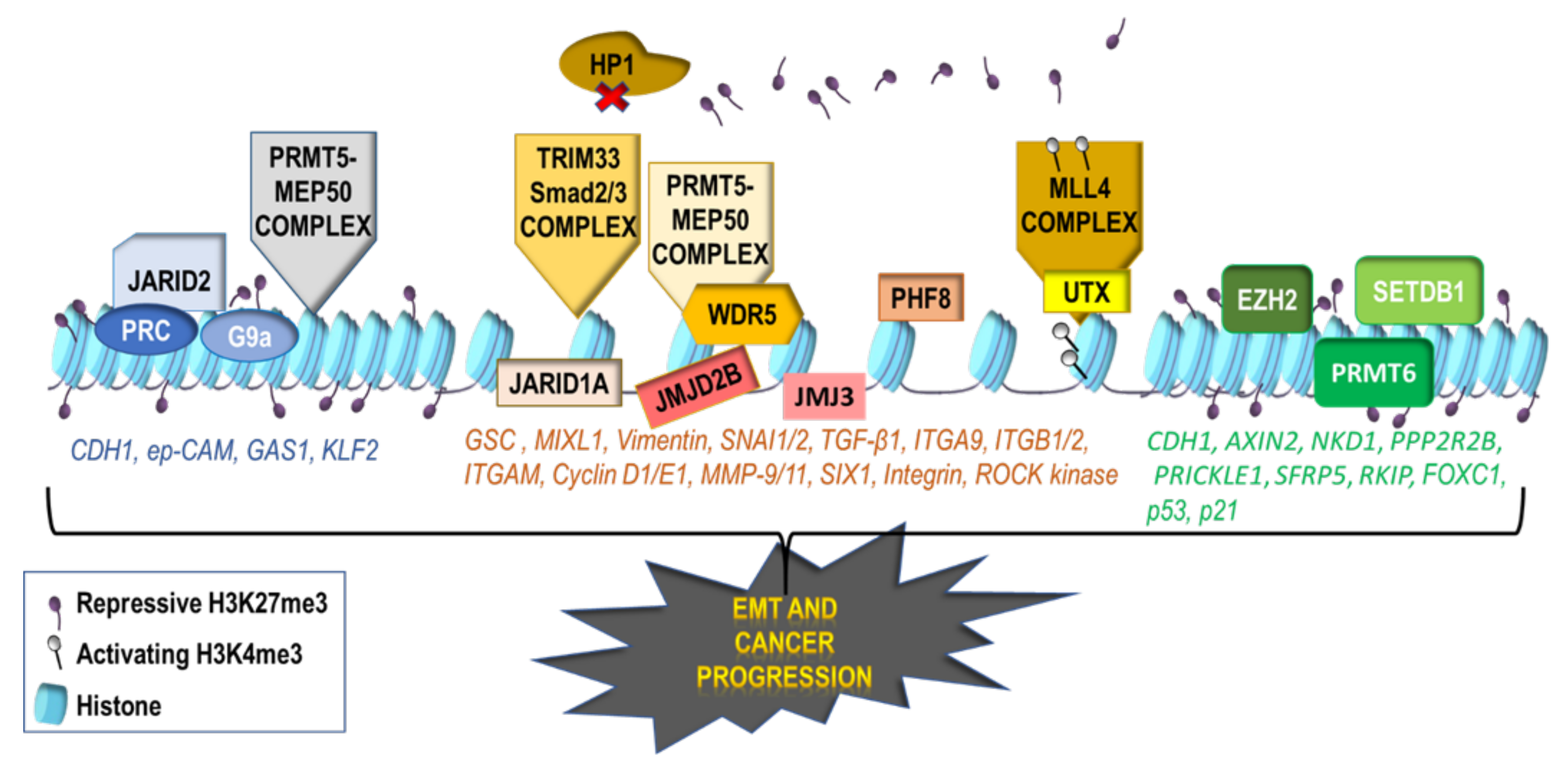 Ijms 22 02778 g003 Ijms 22 02778 g003