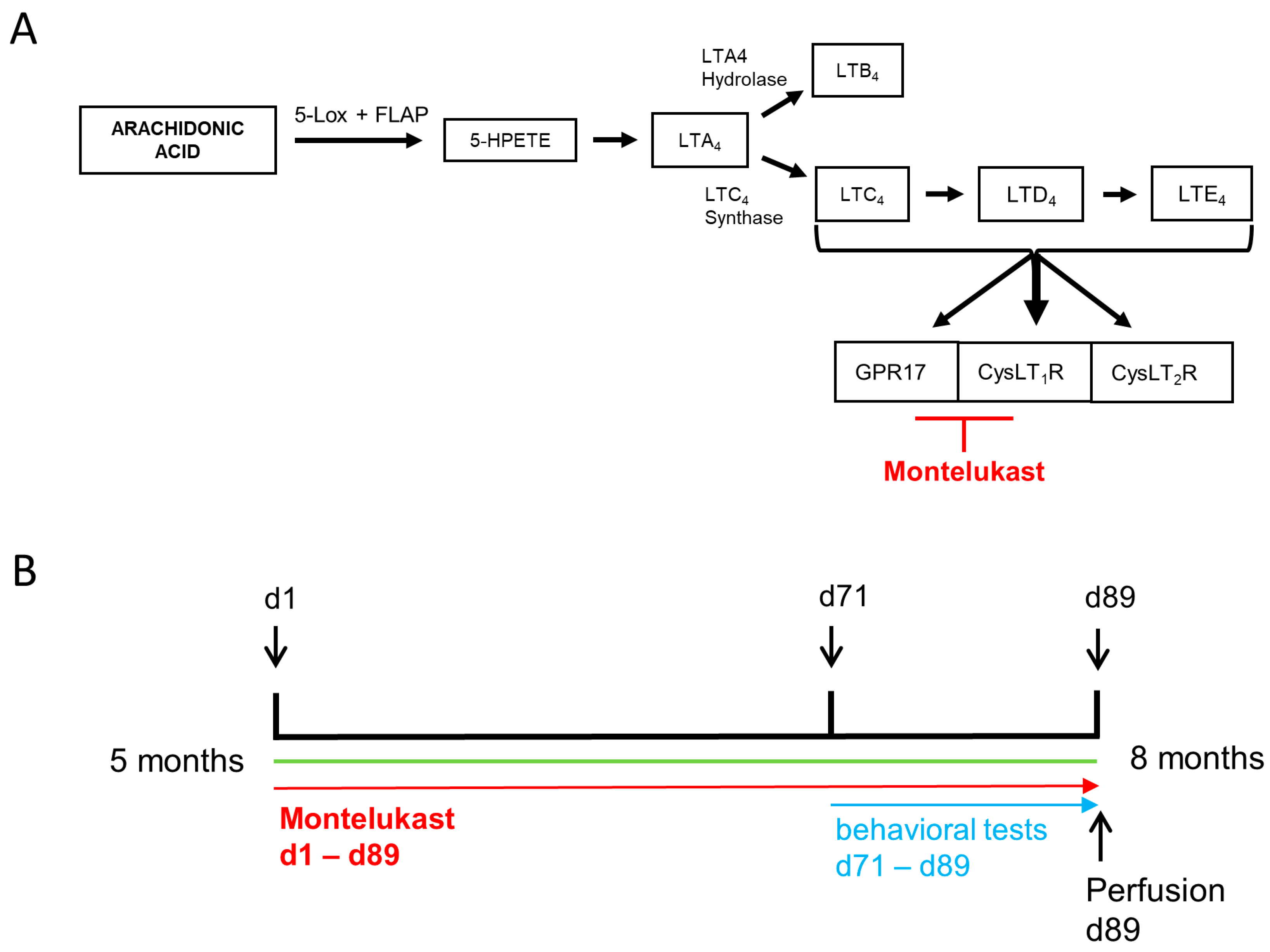Ijms 22 02782 g001 Ijms 22 02782 g001