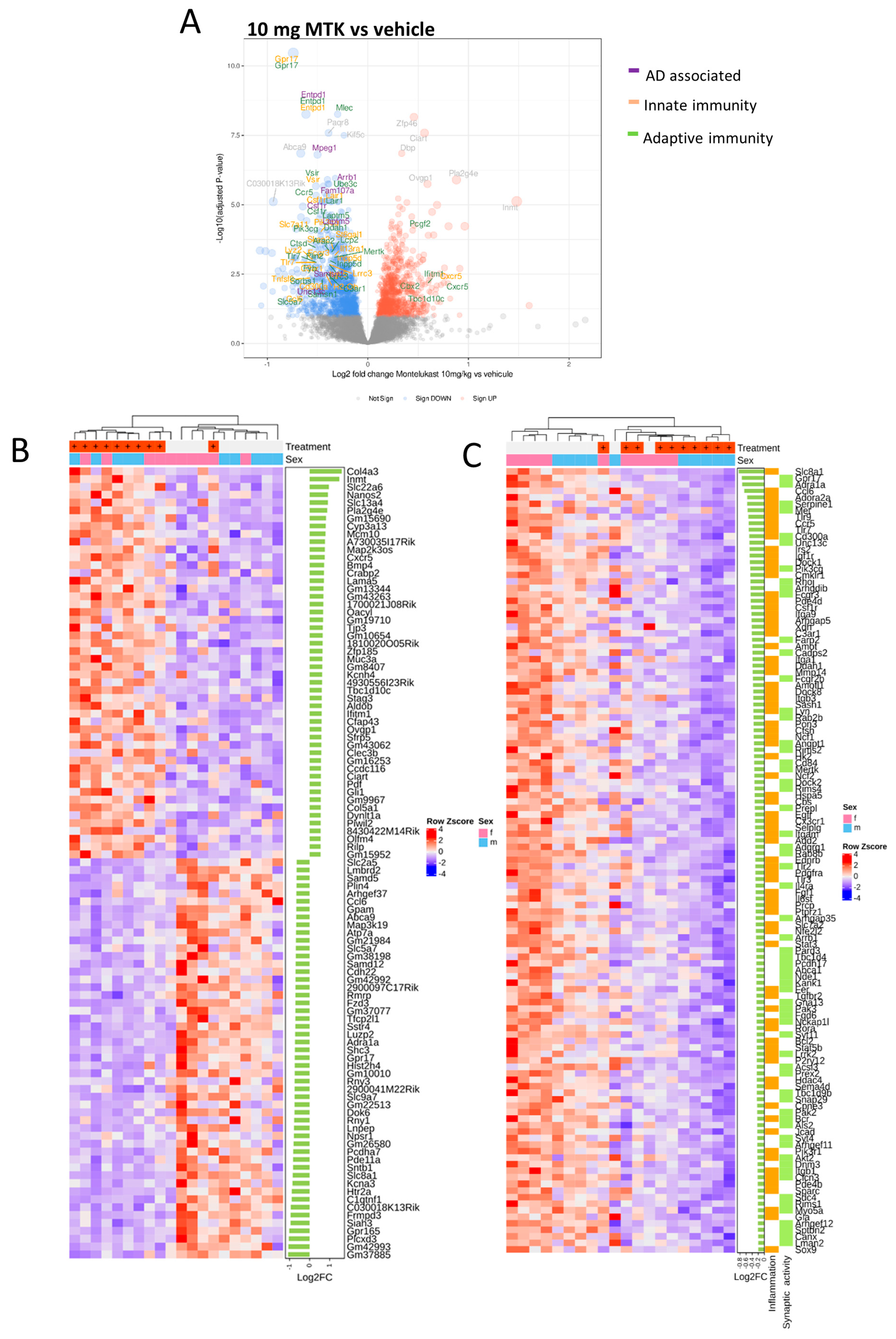 Ijms 22 02782 g002 Ijms 22 02782 g002