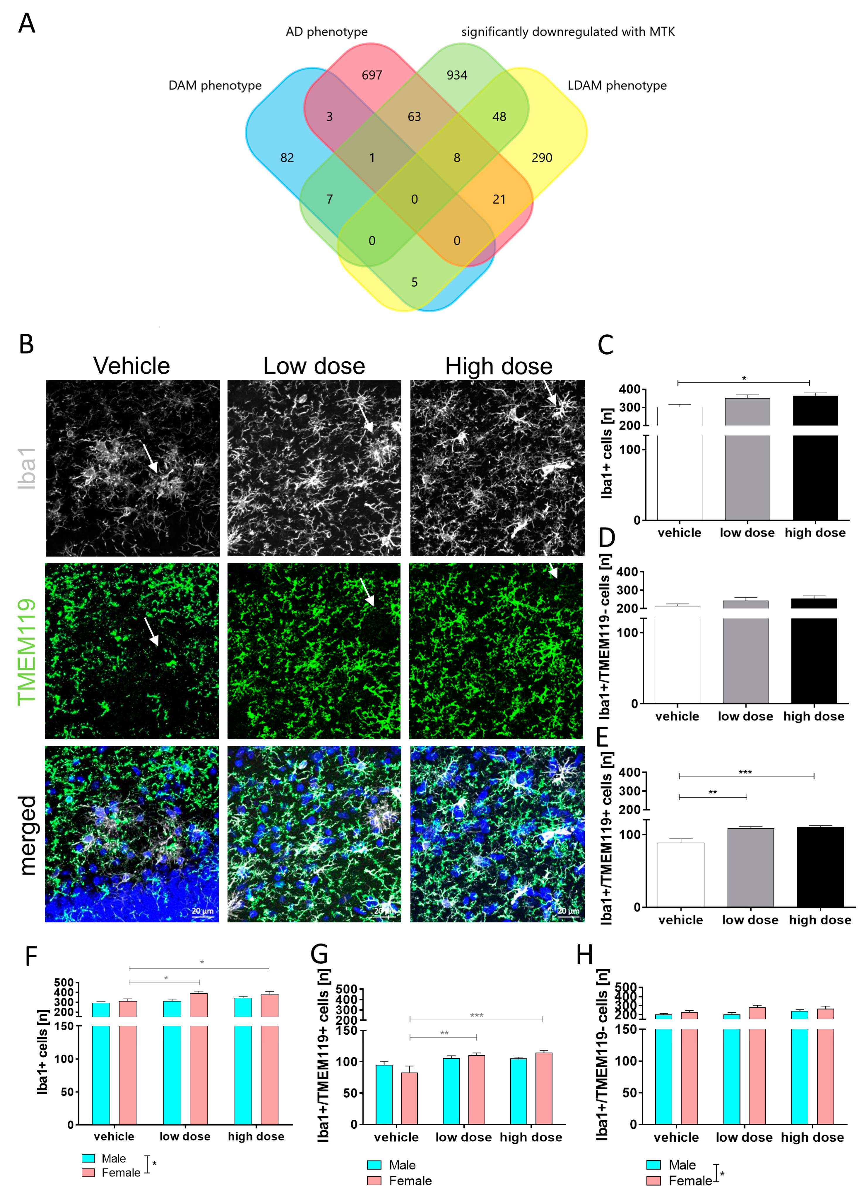 Ijms 22 02782 g003 Ijms 22 02782 g003