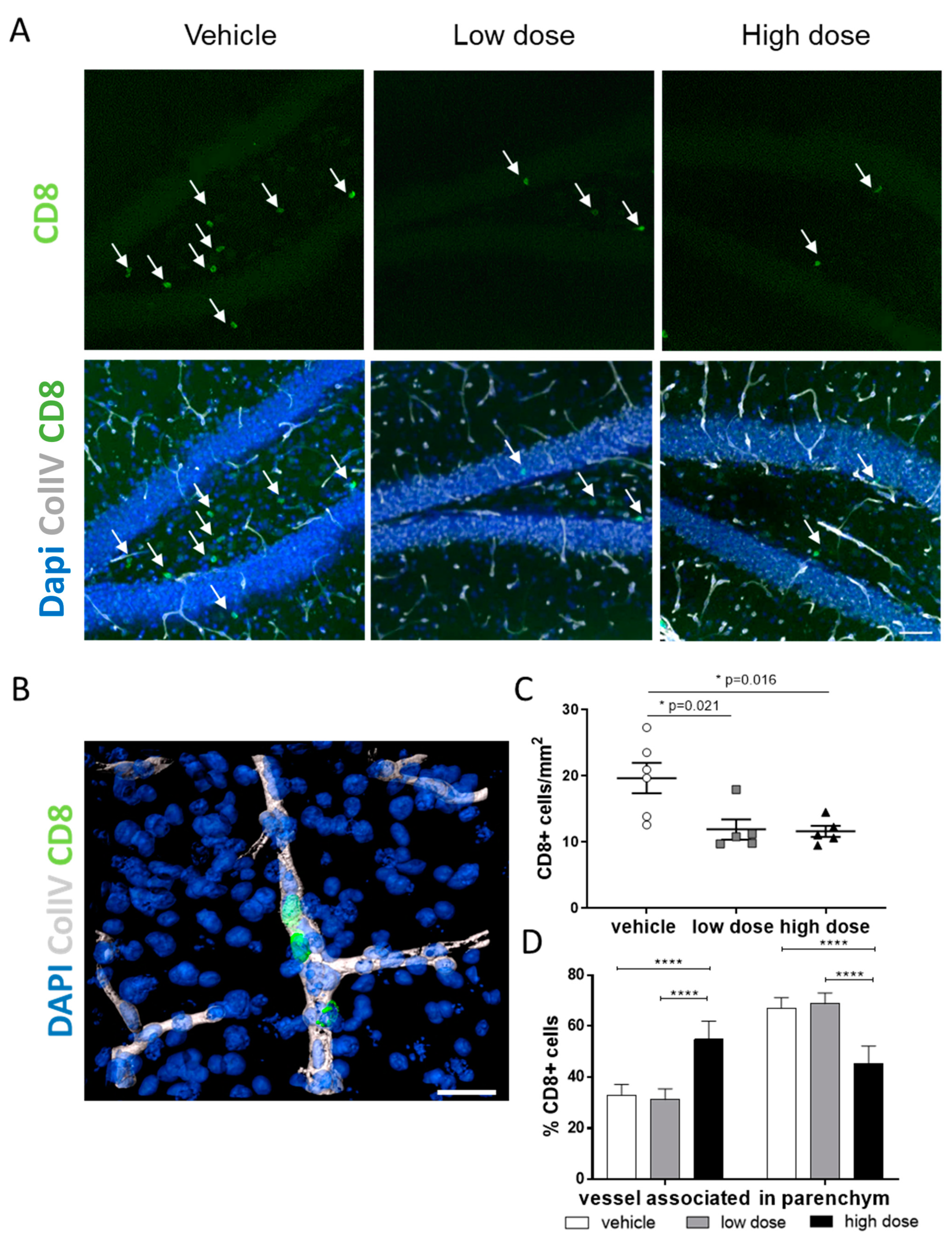 Ijms 22 02782 g005 Ijms 22 02782 g005