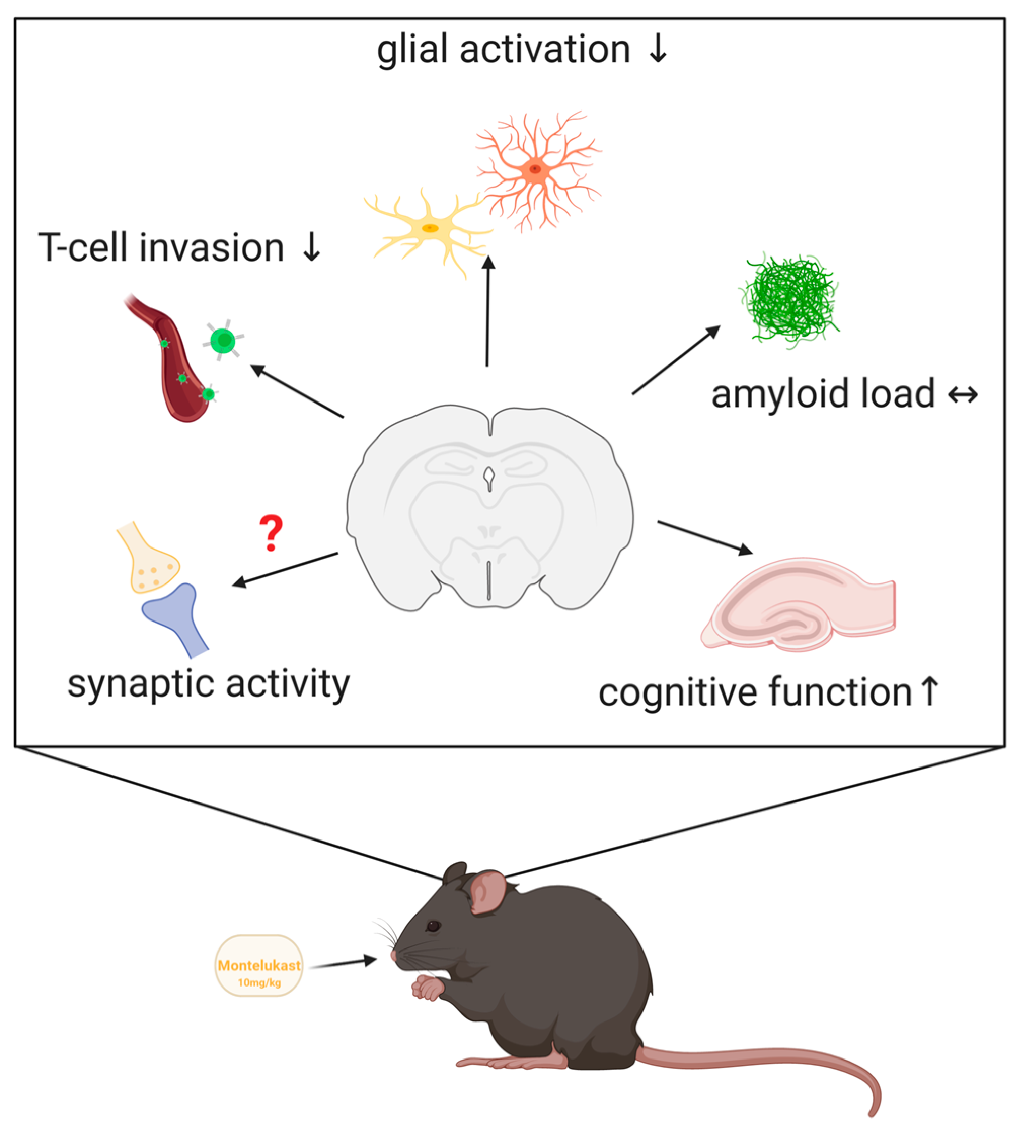 Ijms 22 02782 g008 Ijms 22 02782 g008