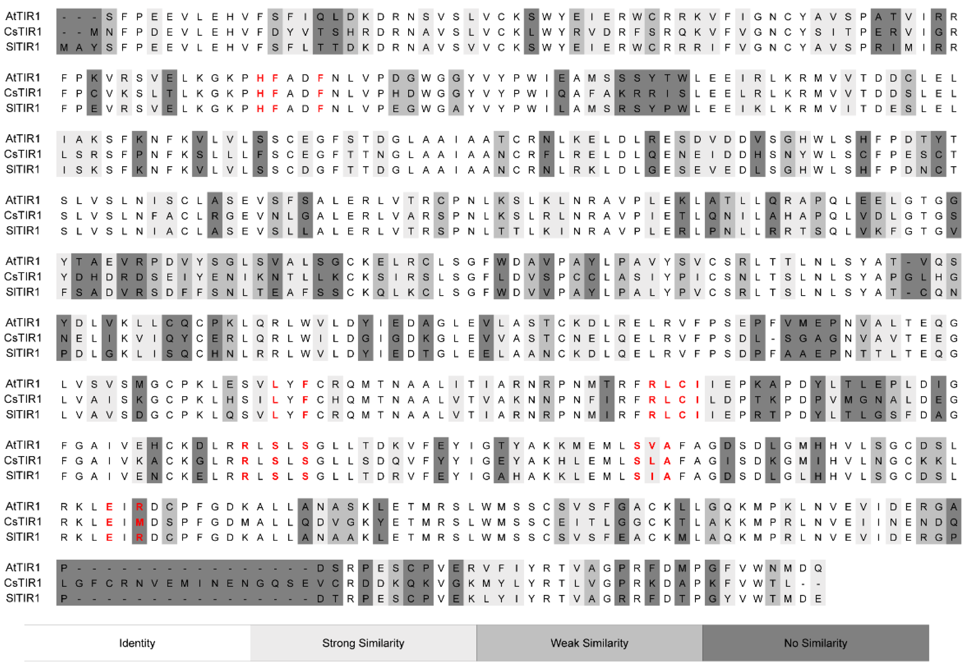 Ijms 22 02797 g006 Ijms 22 02797 g006