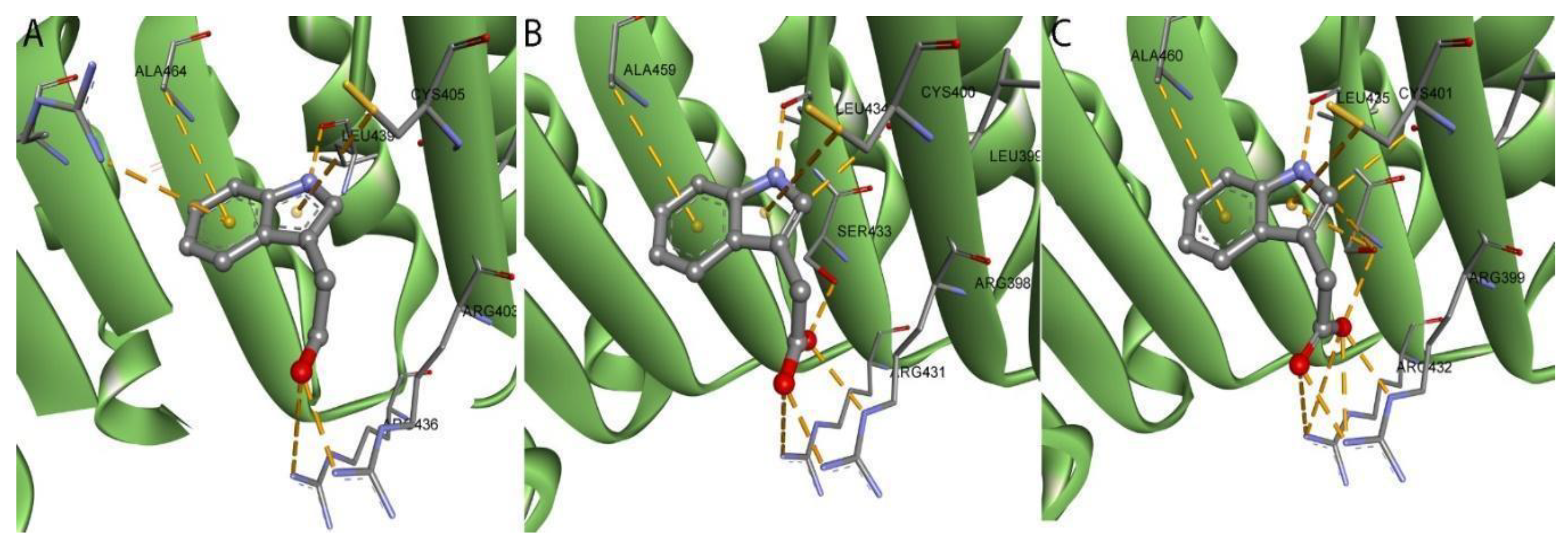 Ijms 22 02797 g007 Ijms 22 02797 g007