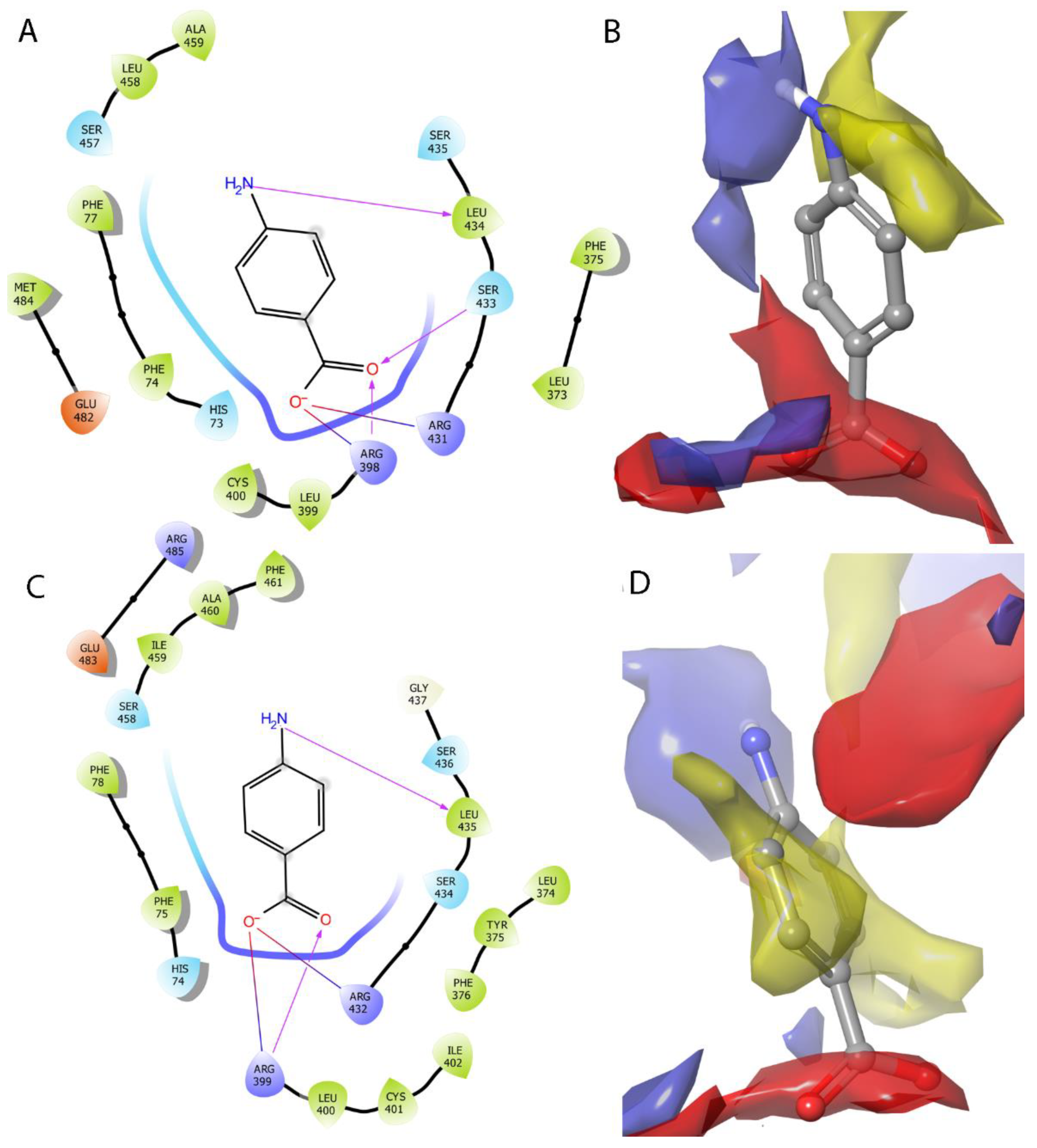 Ijms 22 02797 g008 Ijms 22 02797 g008