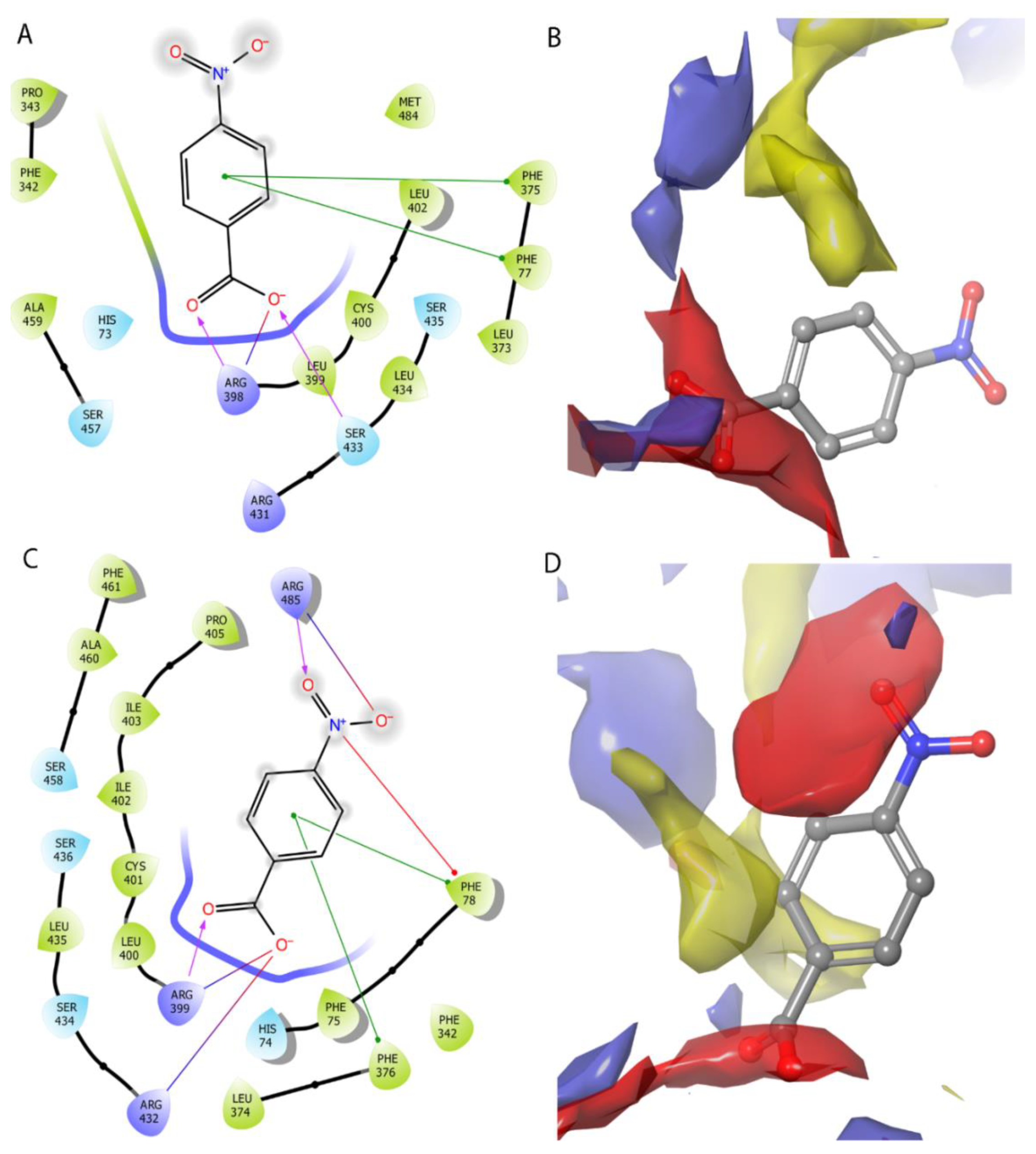 Ijms 22 02797 g009 Ijms 22 02797 g009