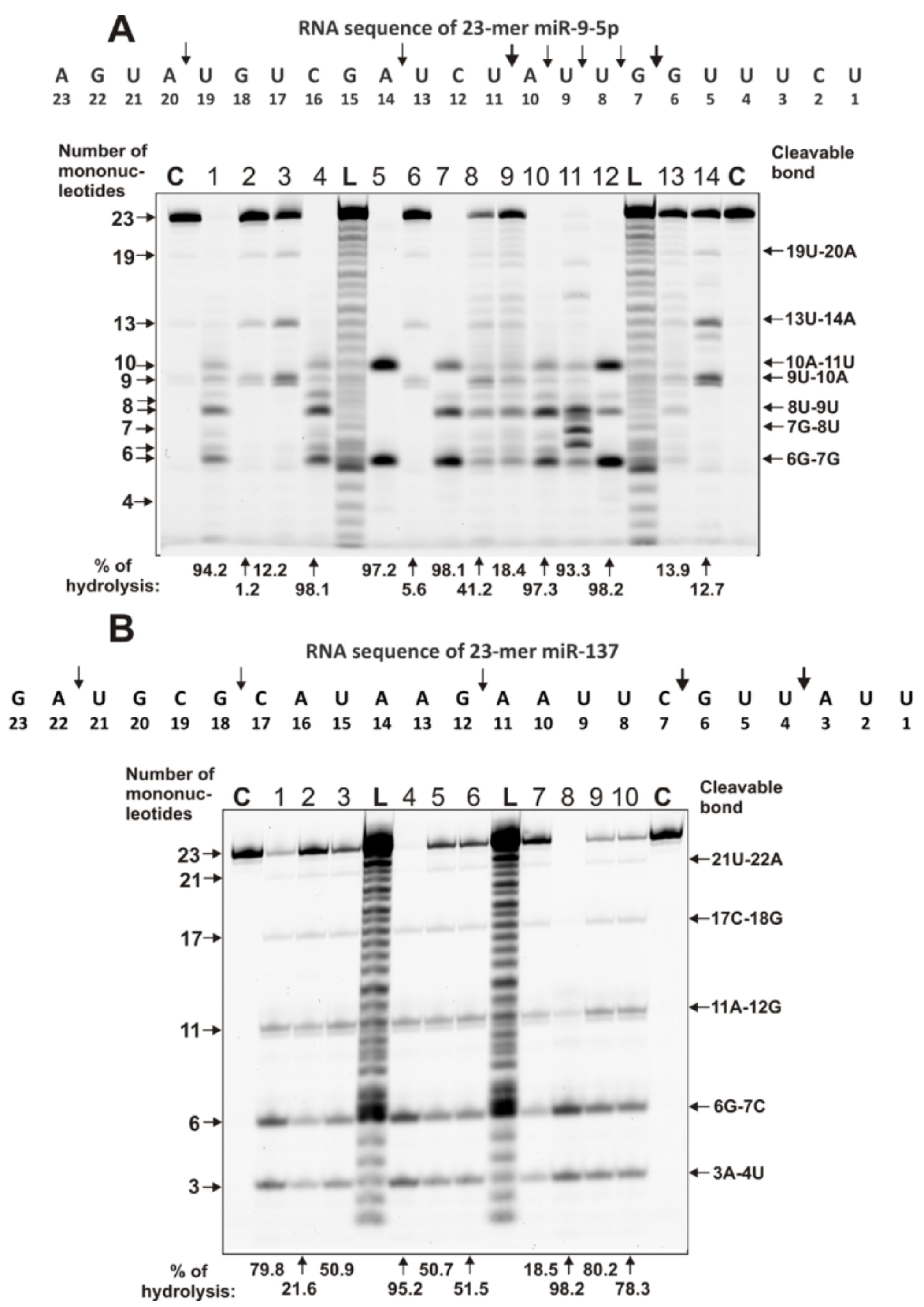 Ijms 22 02812 g004 Ijms 22 02812 g004