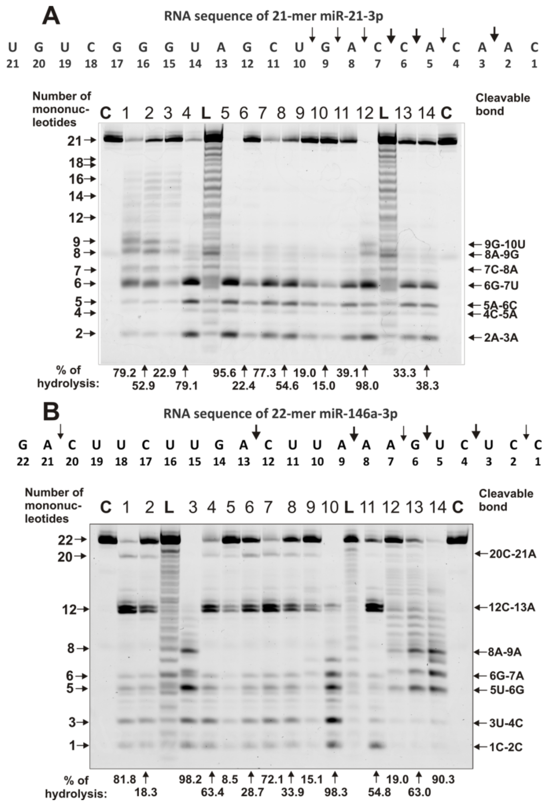 Ijms 22 02812 g005 Ijms 22 02812 g005
