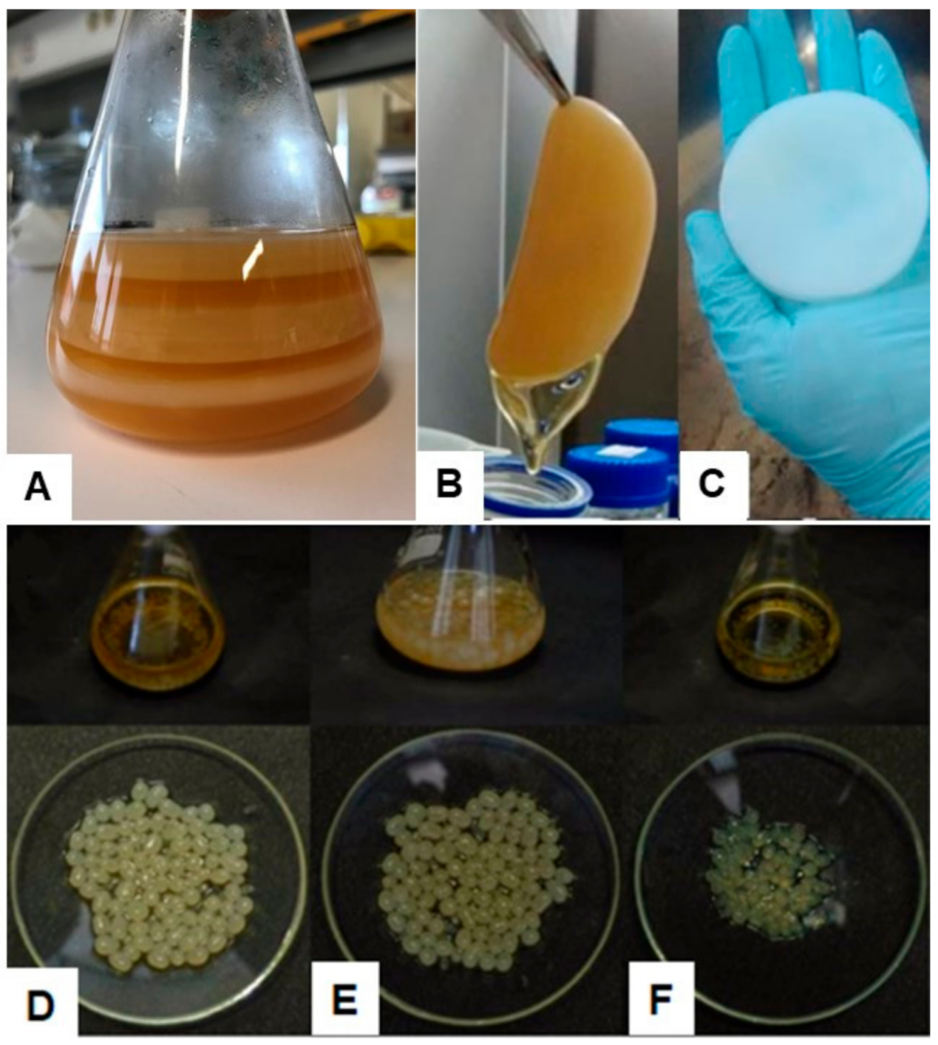 Ijms 22 02836 g001 Ijms 22 02836 g001