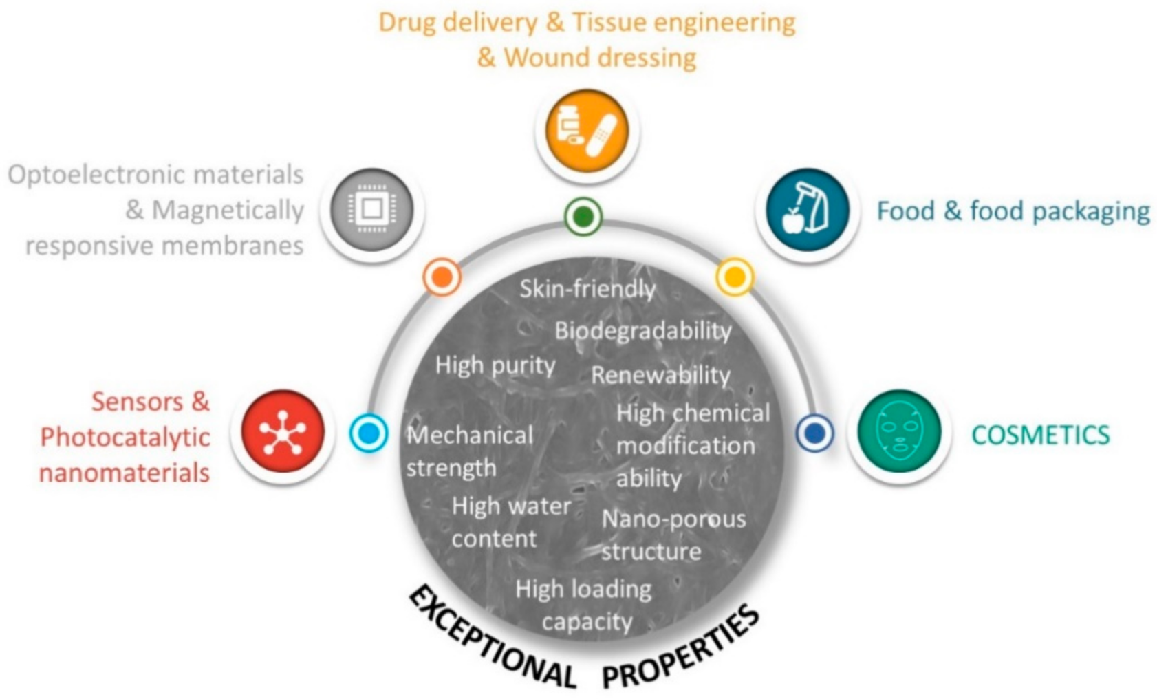 Ijms 22 02836 g003 Ijms 22 02836 g003