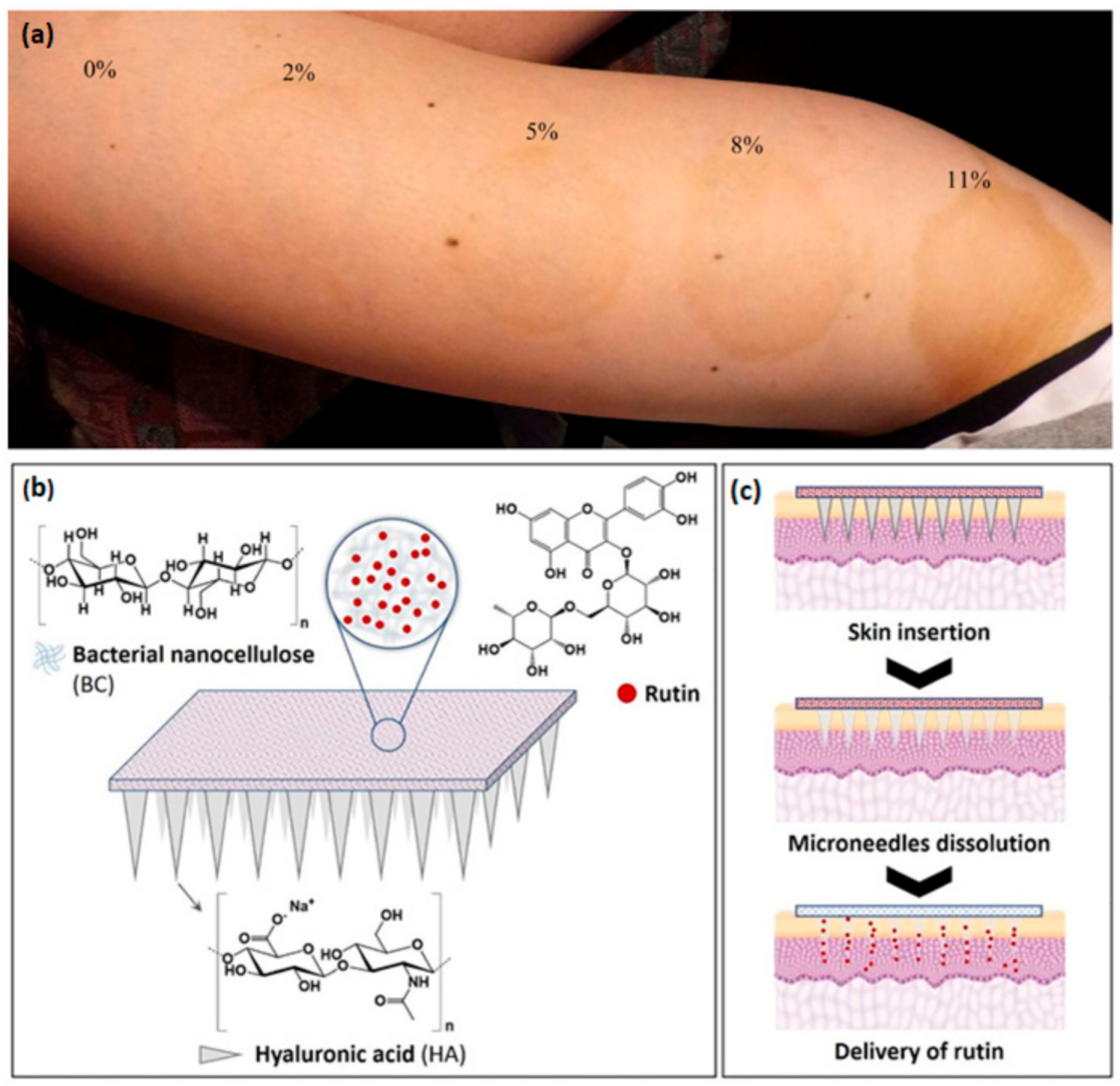 Ijms 22 02836 g005 Ijms 22 02836 g005