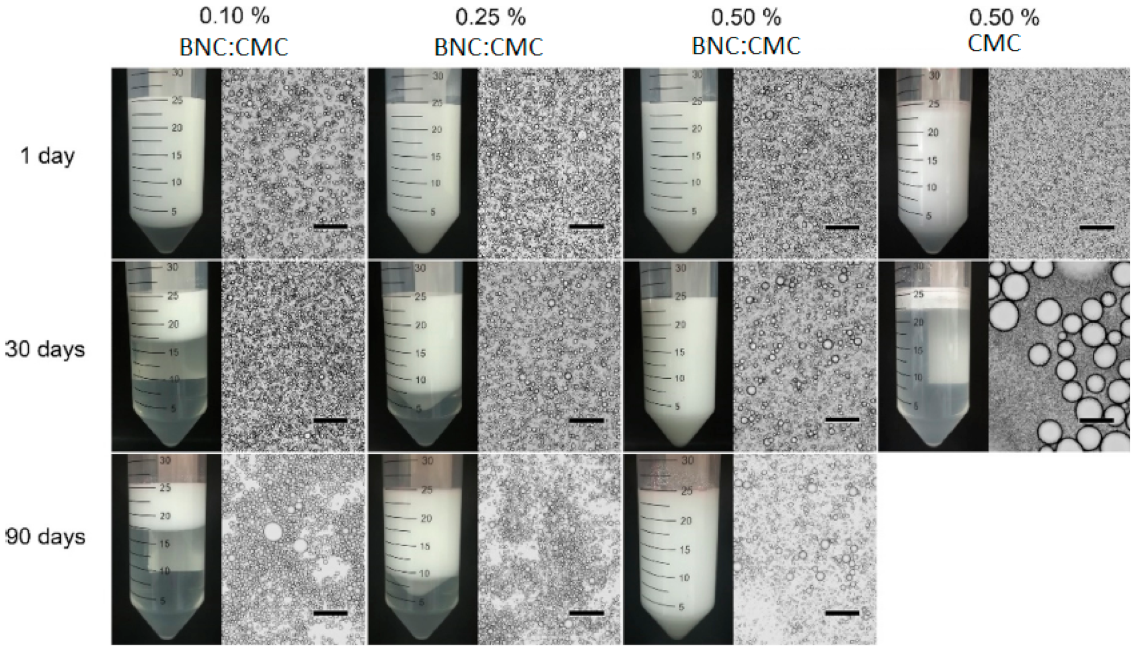 Ijms 22 02836 g006 Ijms 22 02836 g006