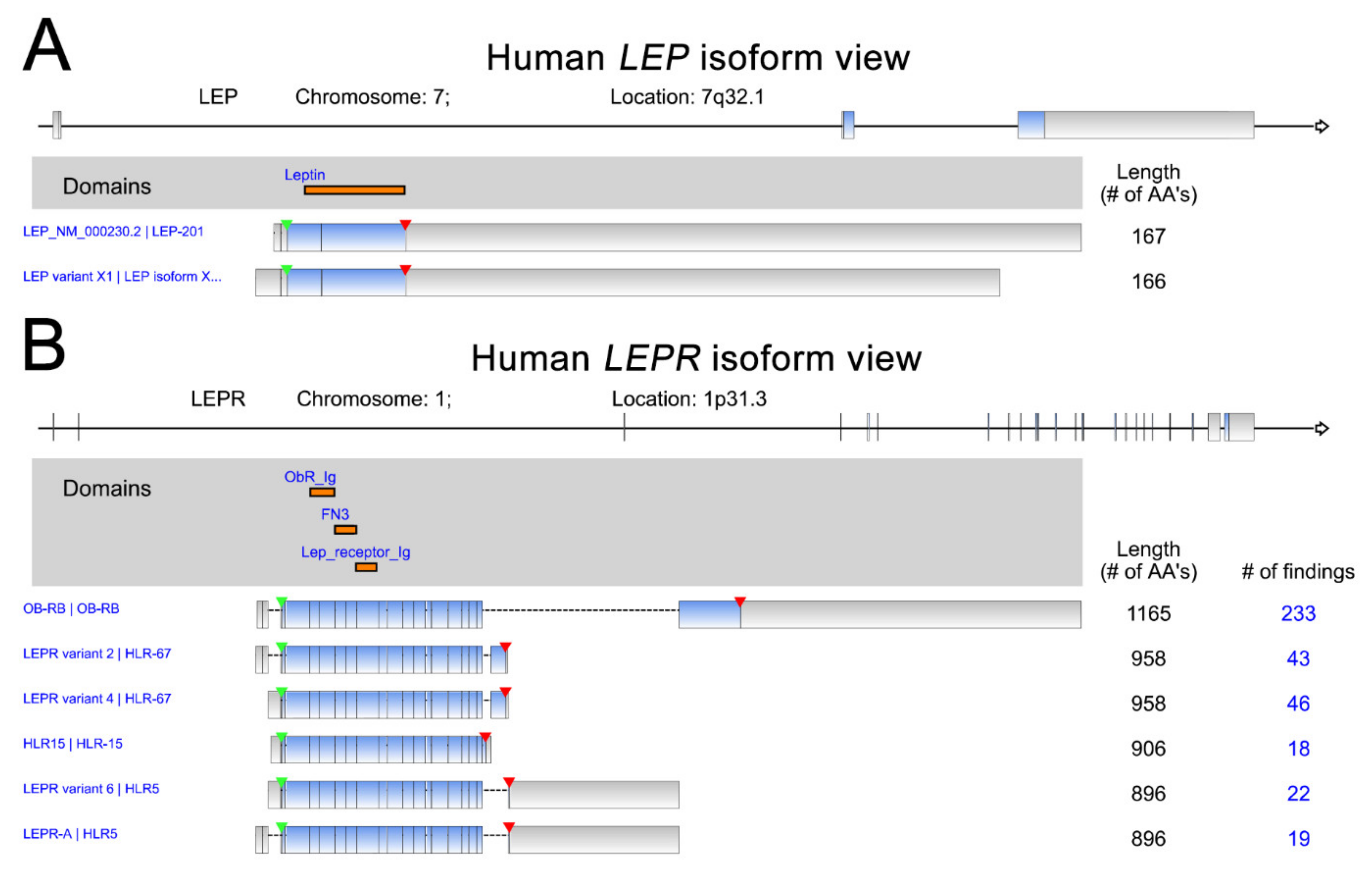 Ijms 22 02870 g001 Ijms 22 02870 g001