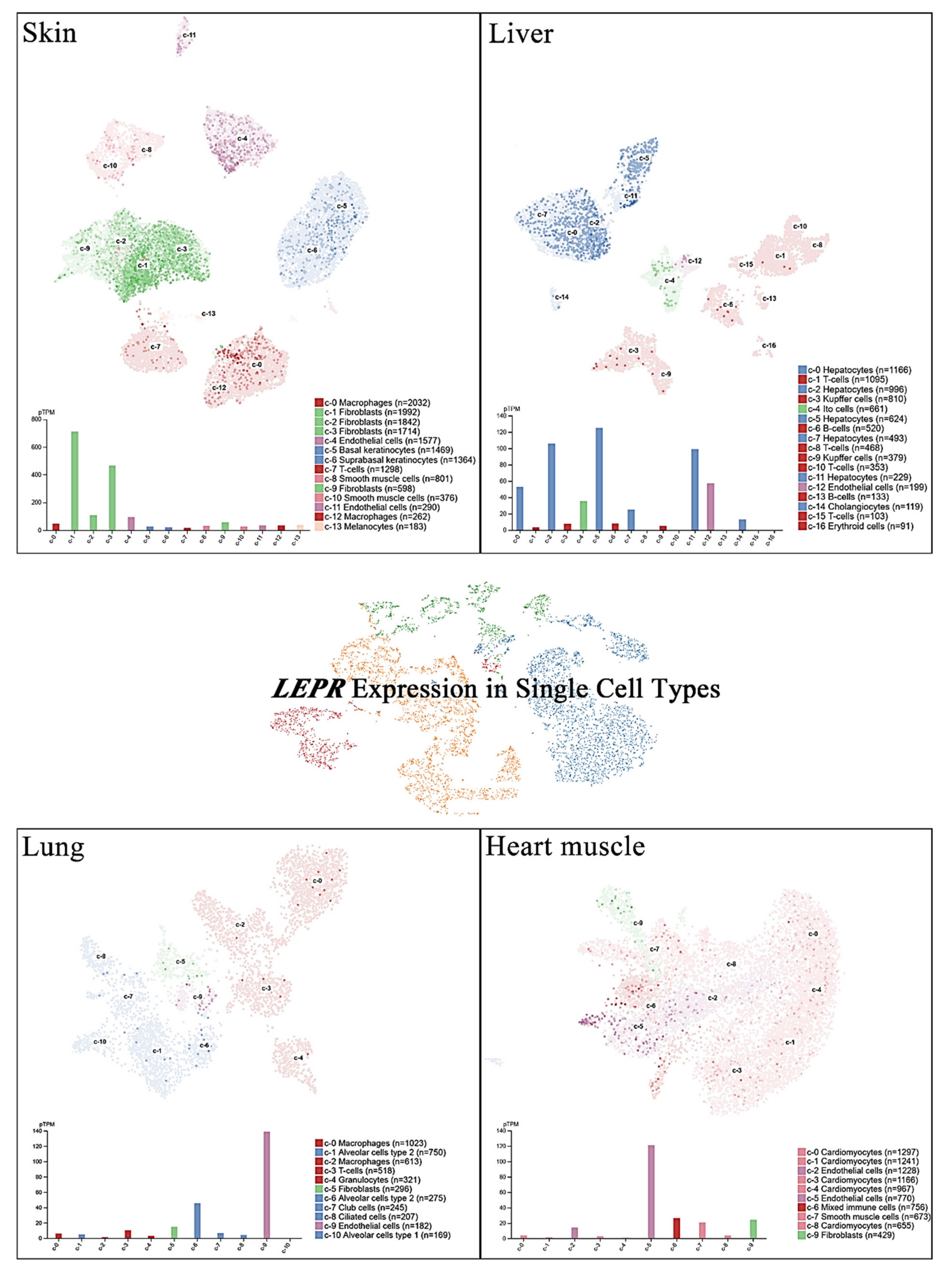 Ijms 22 02870 g002 Ijms 22 02870 g002