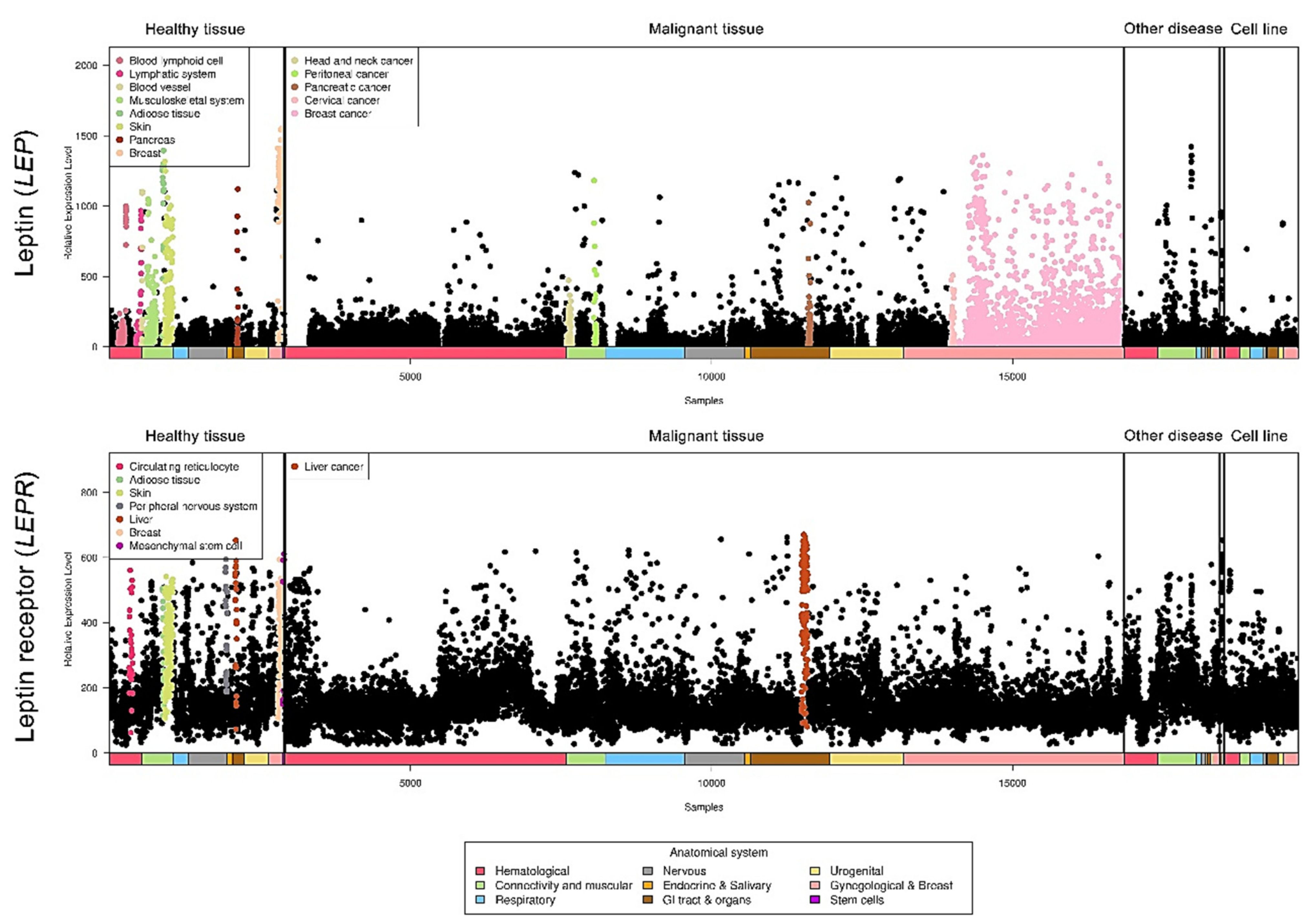 Ijms 22 02870 g003 Ijms 22 02870 g003