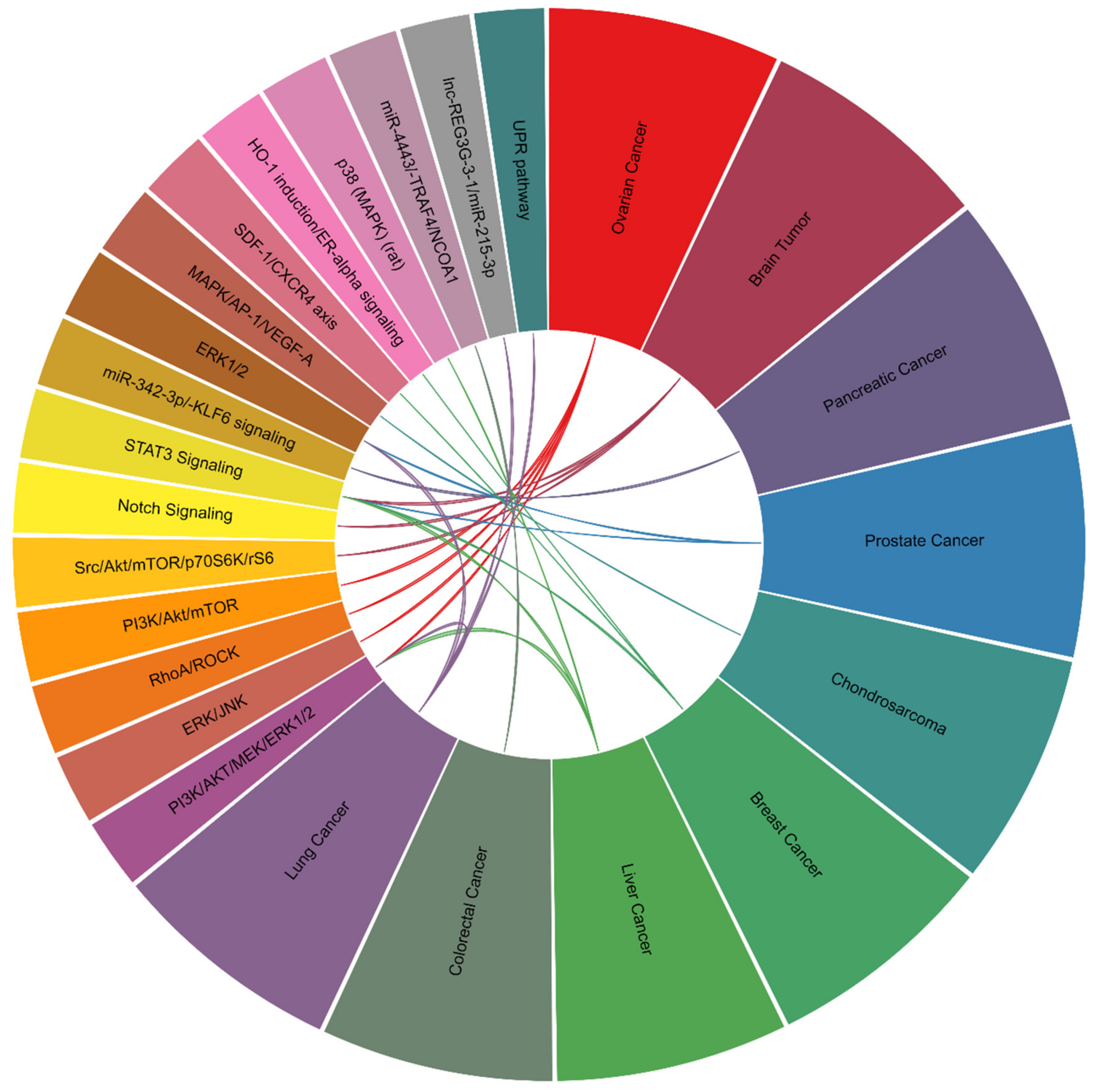 Ijms 22 02870 g004 Ijms 22 02870 g004