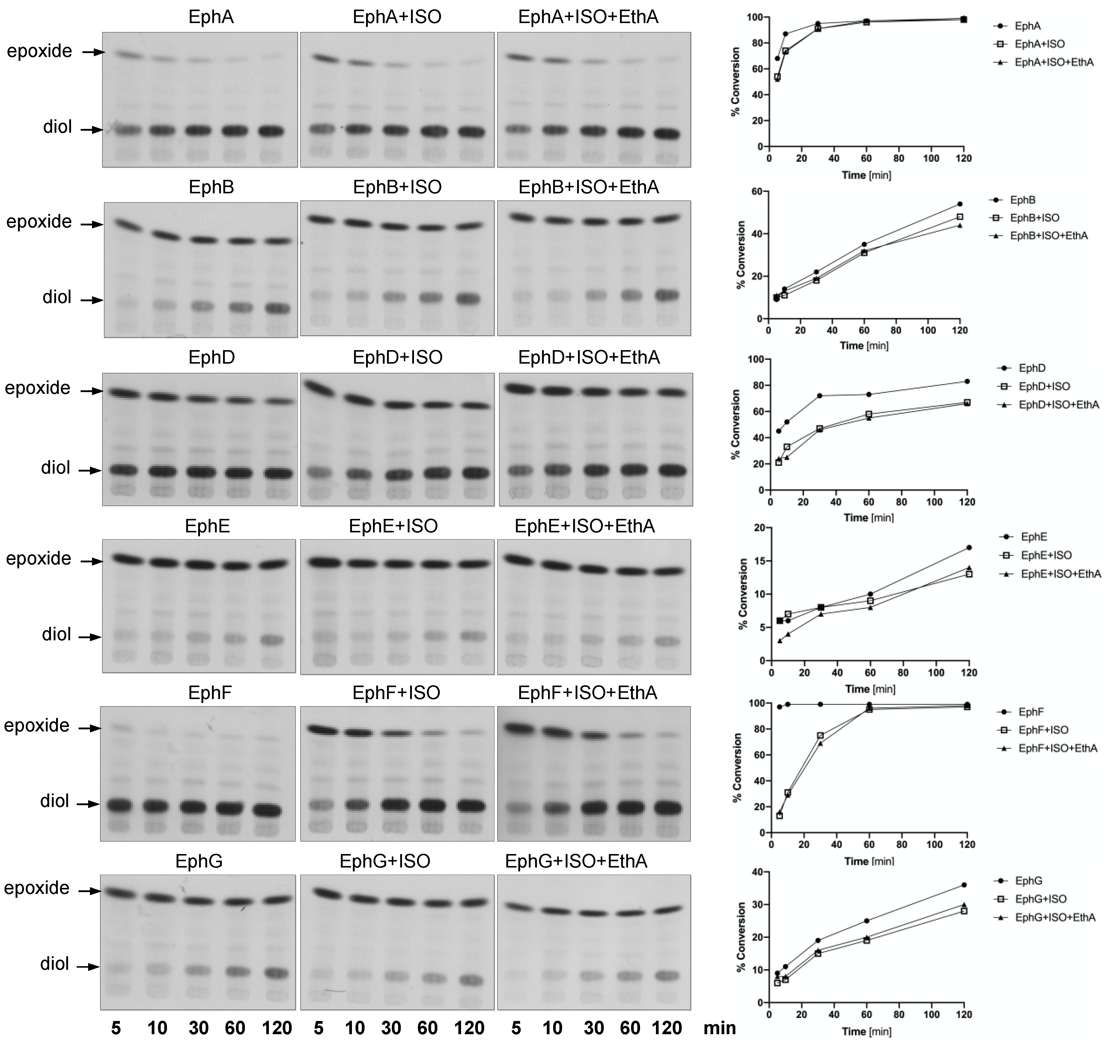 Ijms 22 02884 g002 Ijms 22 02884 g002