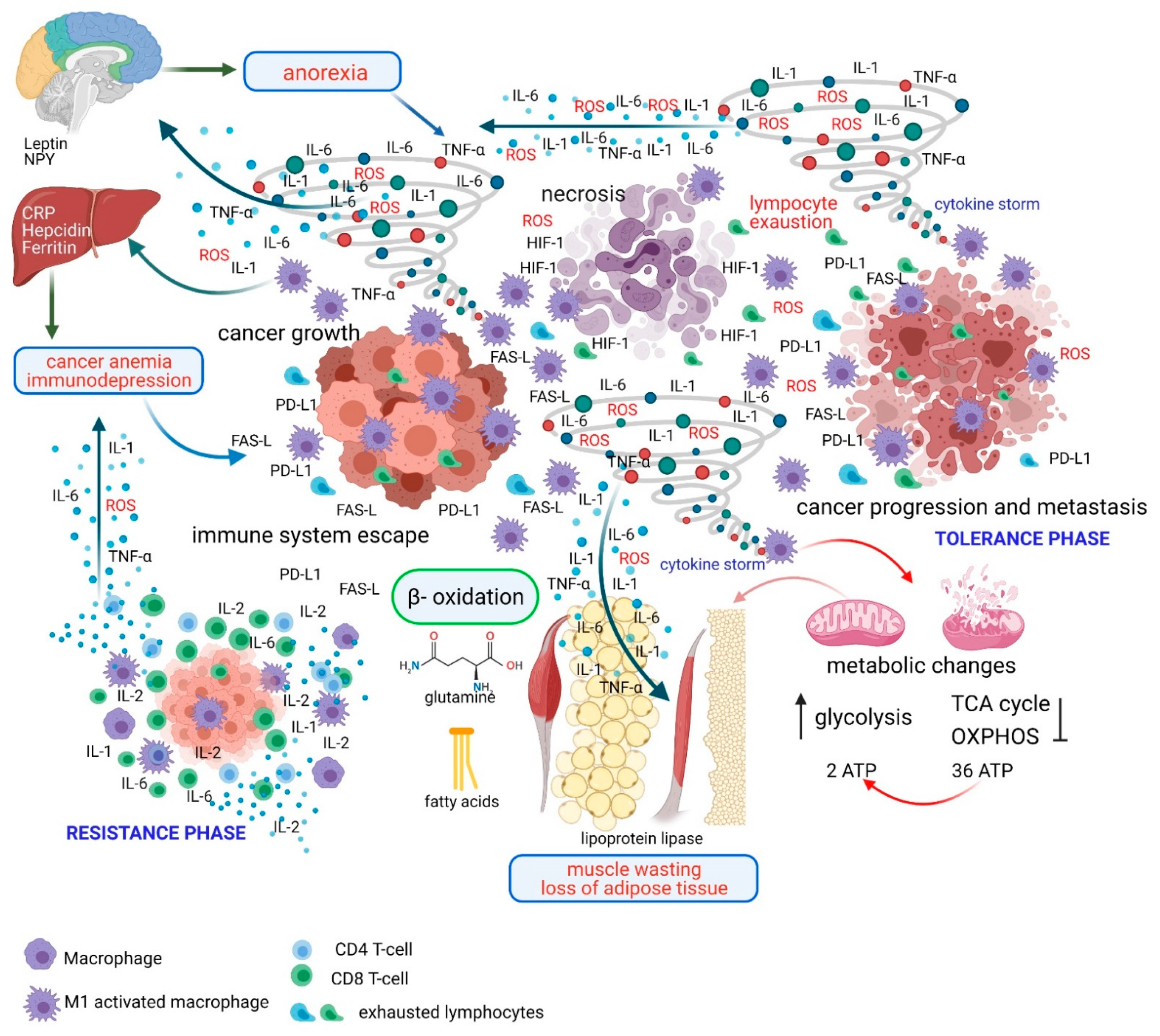 Ijms 22 02890 g001 Ijms 22 02890 g001