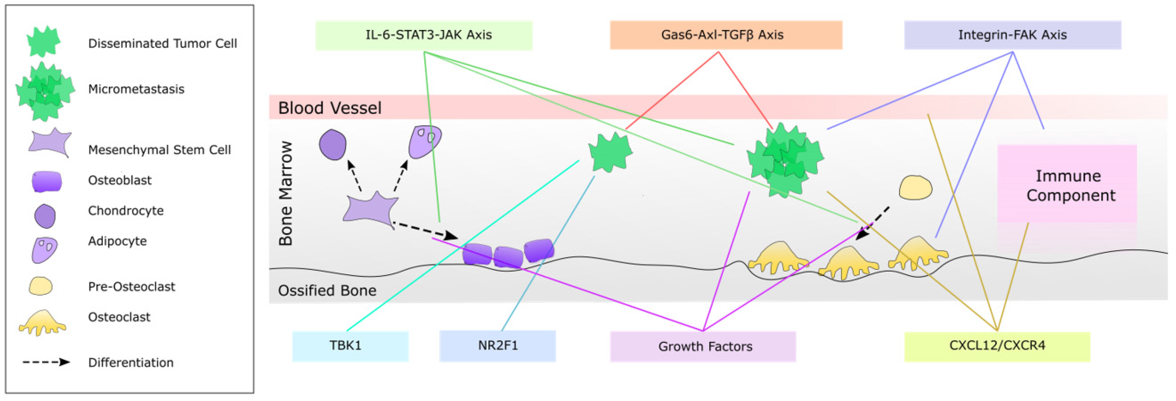 Ijms 22 02911 g001 Ijms 22 02911 g001