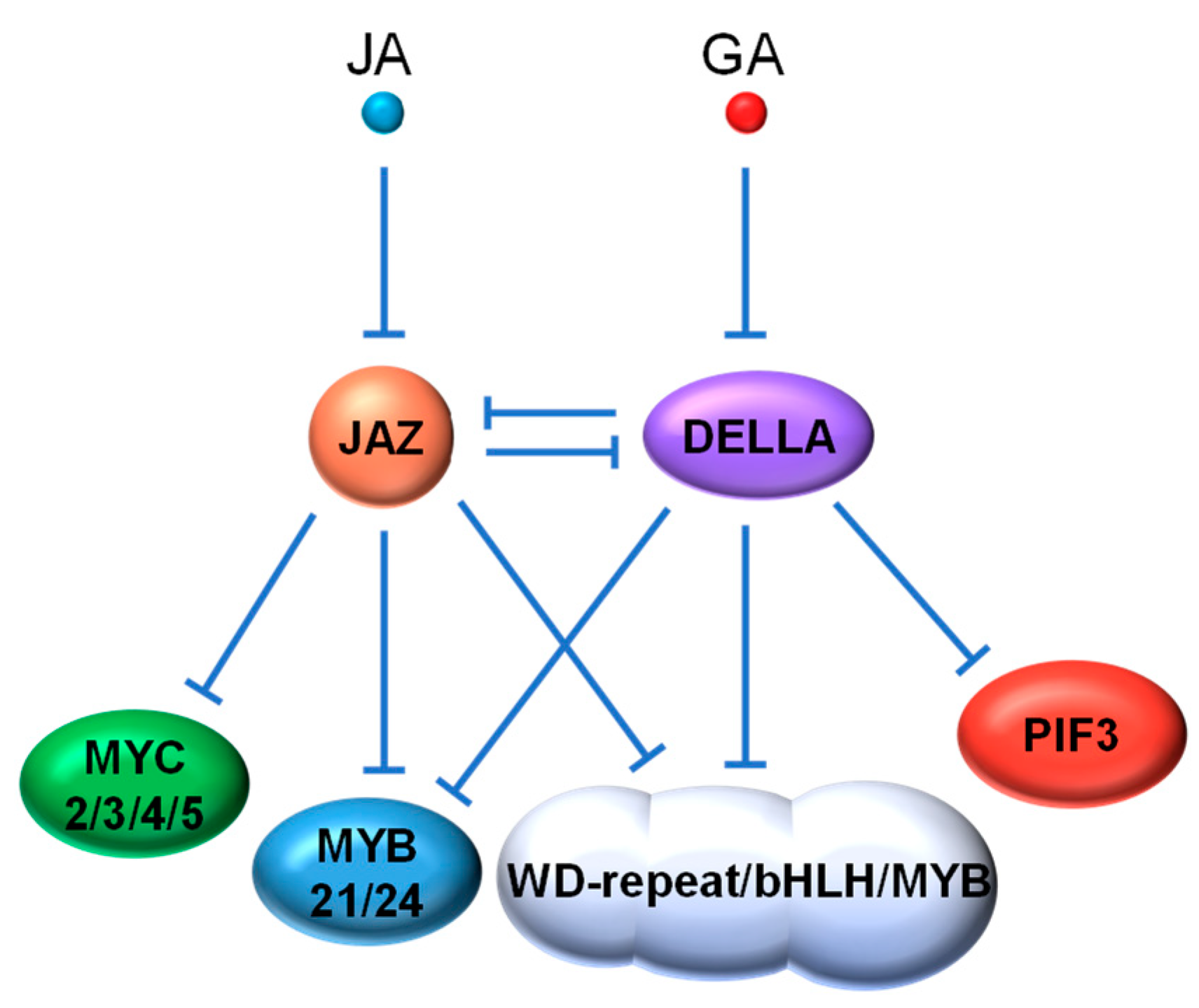 Ijms 22 02914 g004 Ijms 22 02914 g004