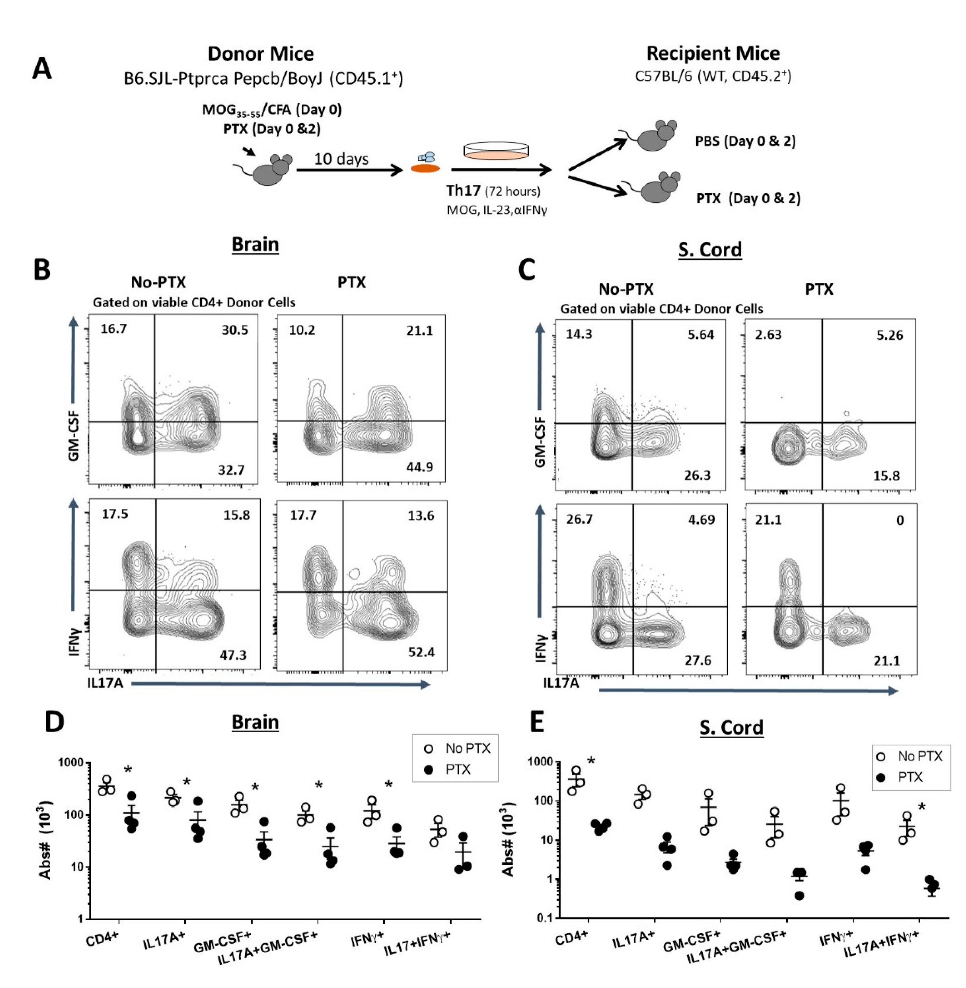 Ijms 22 02924 g002 Ijms 22 02924 g002