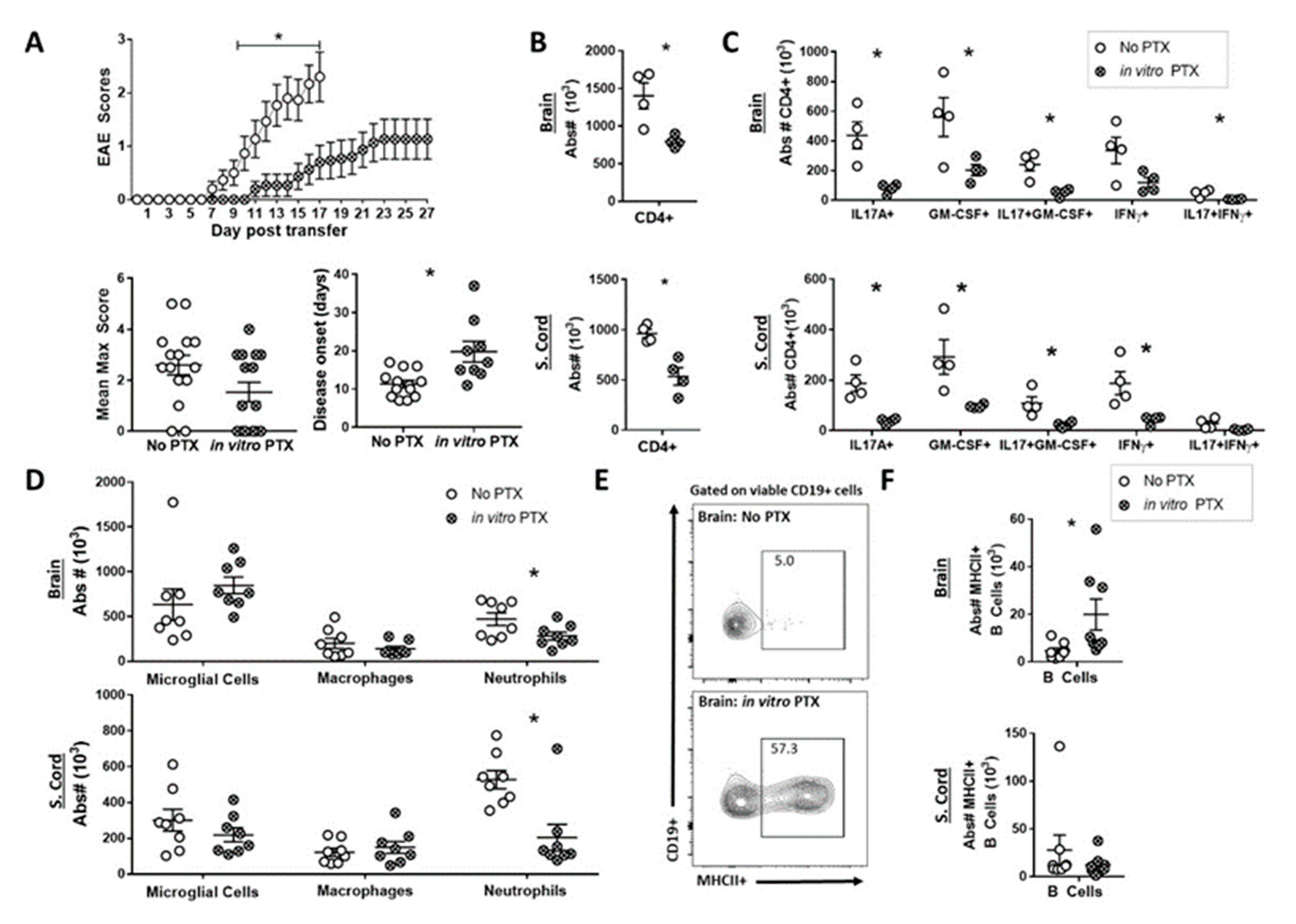 Ijms 22 02924 g004 Ijms 22 02924 g004