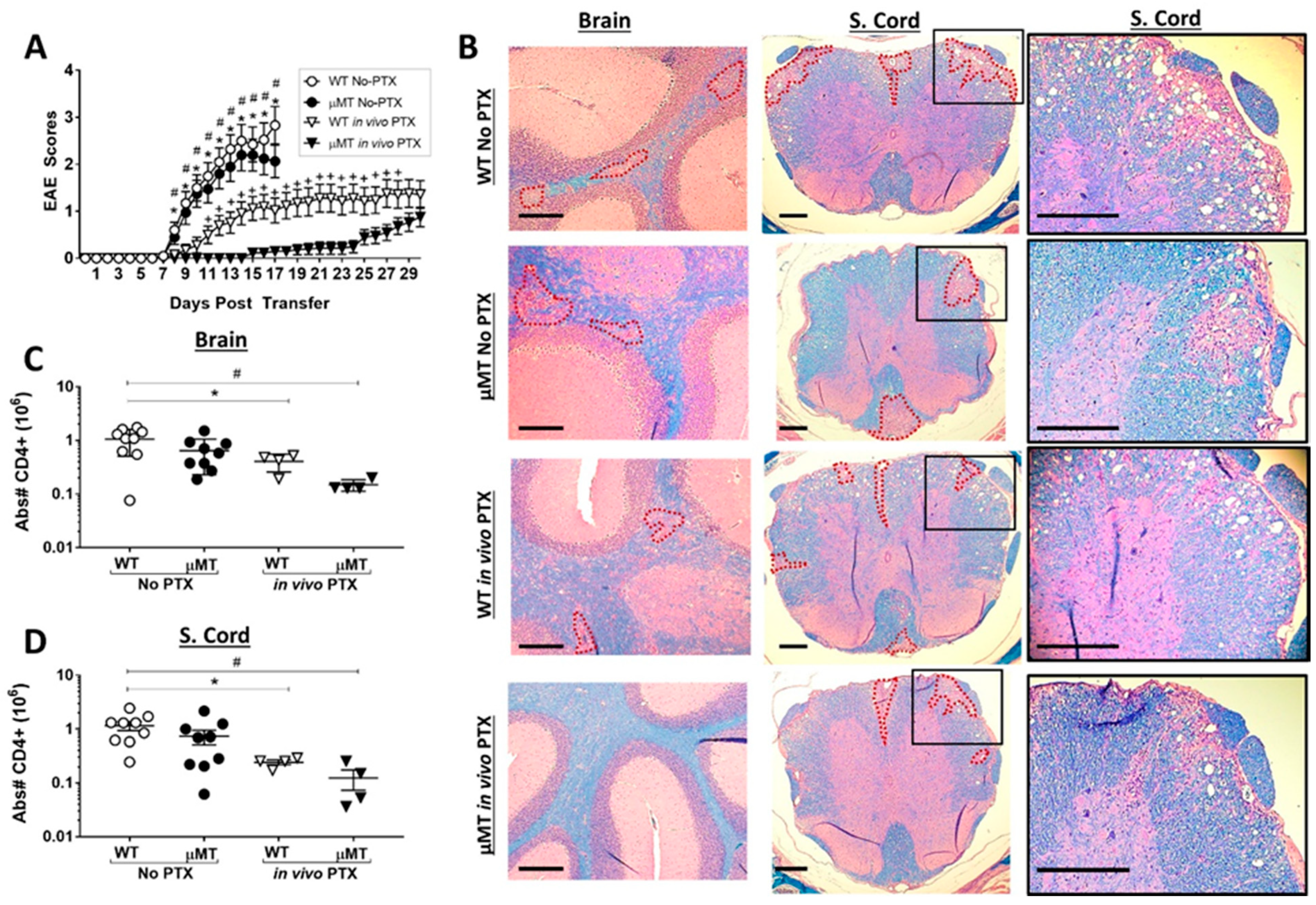 Ijms 22 02924 g005 Ijms 22 02924 g005