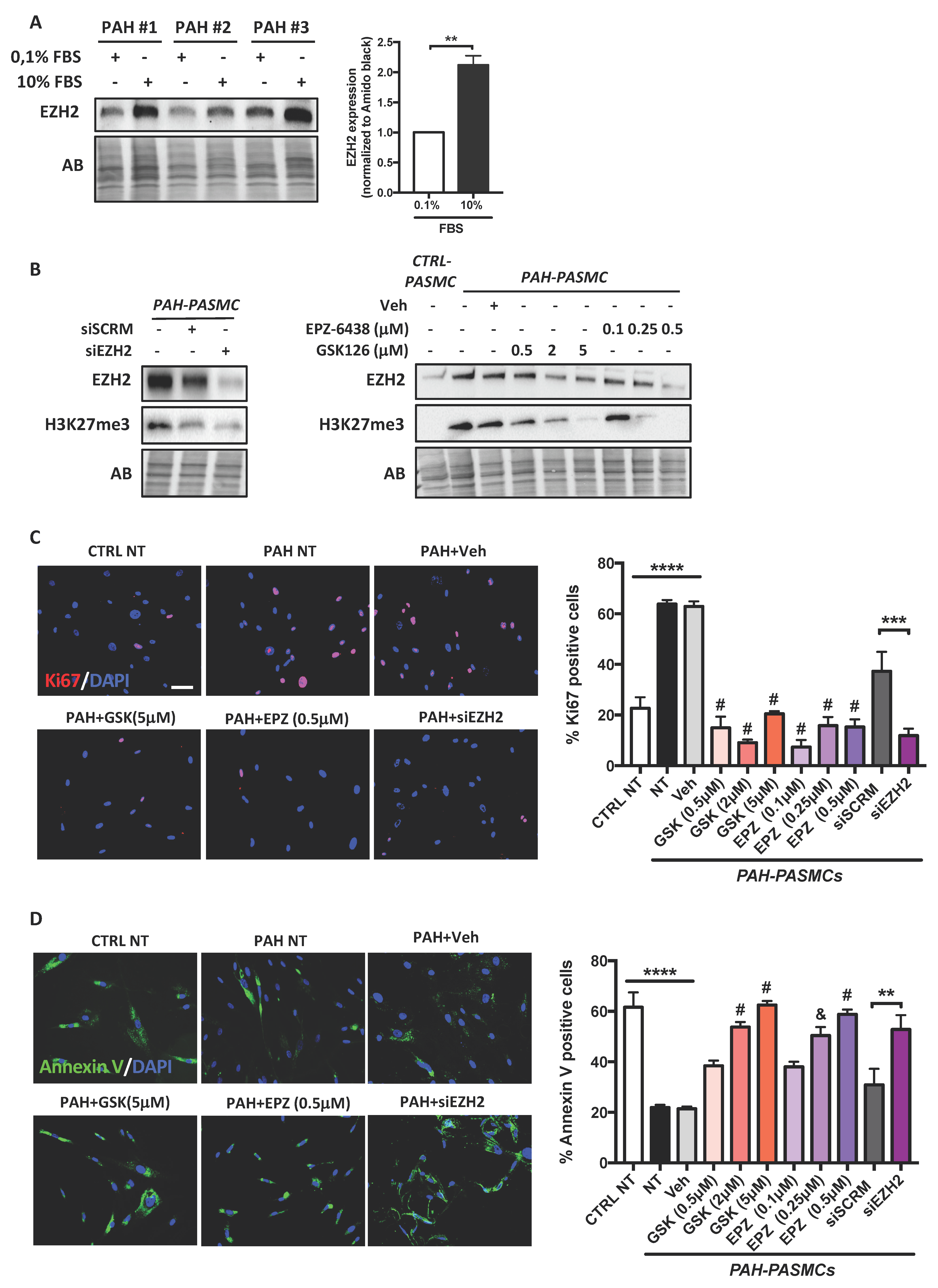 Ijms 22 02957 g002 Ijms 22 02957 g002