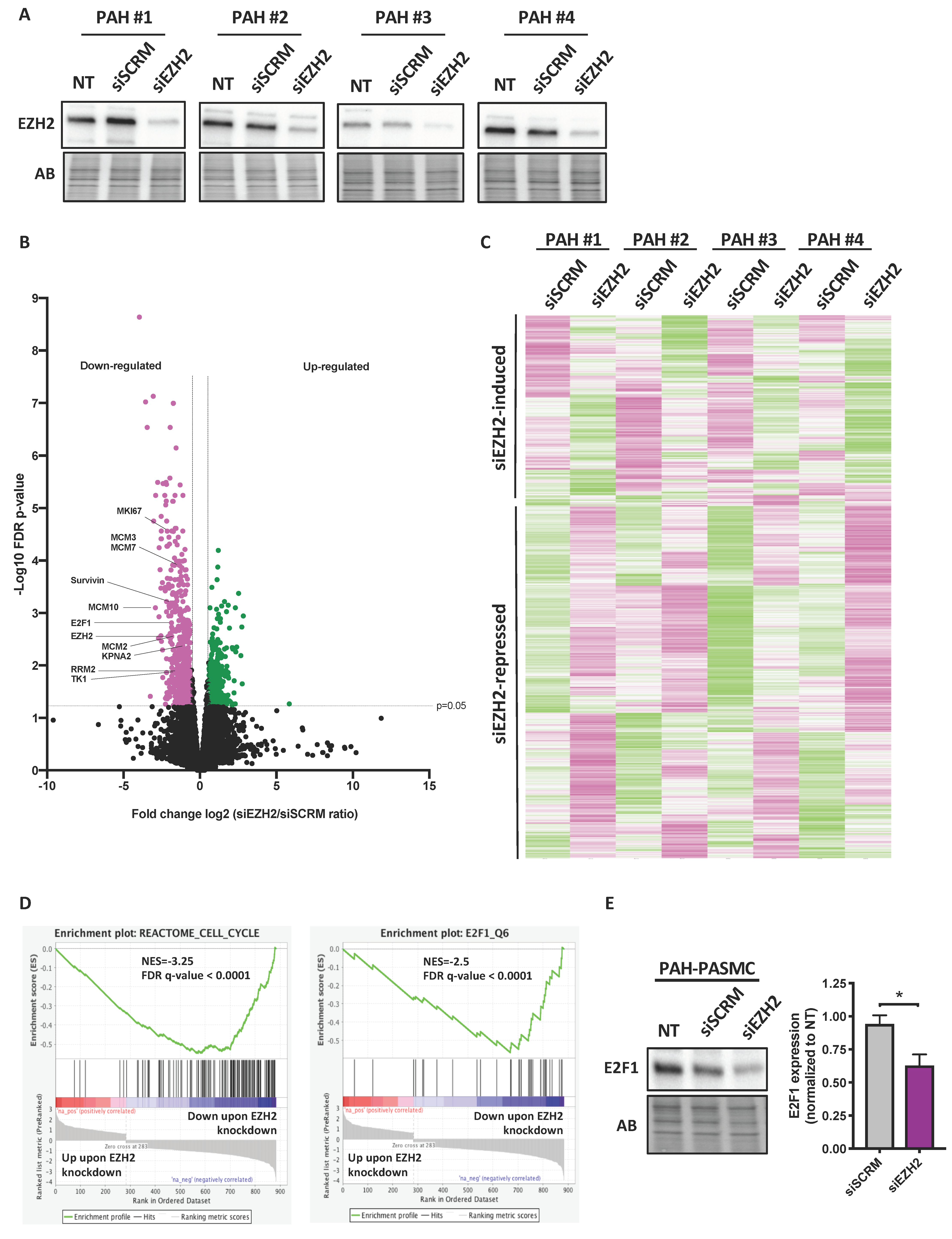 Ijms 22 02957 g003 Ijms 22 02957 g003