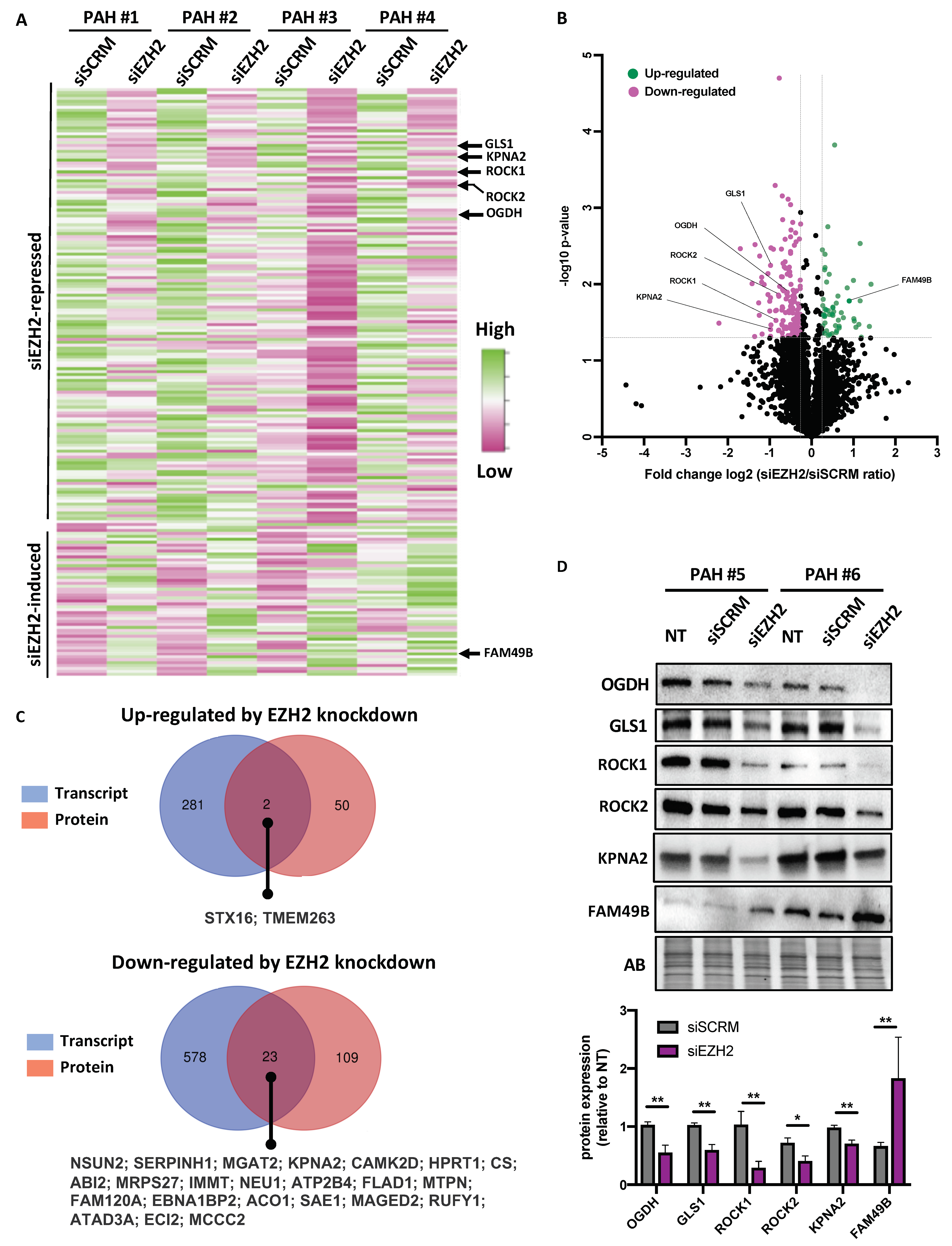 Ijms 22 02957 g004 Ijms 22 02957 g004