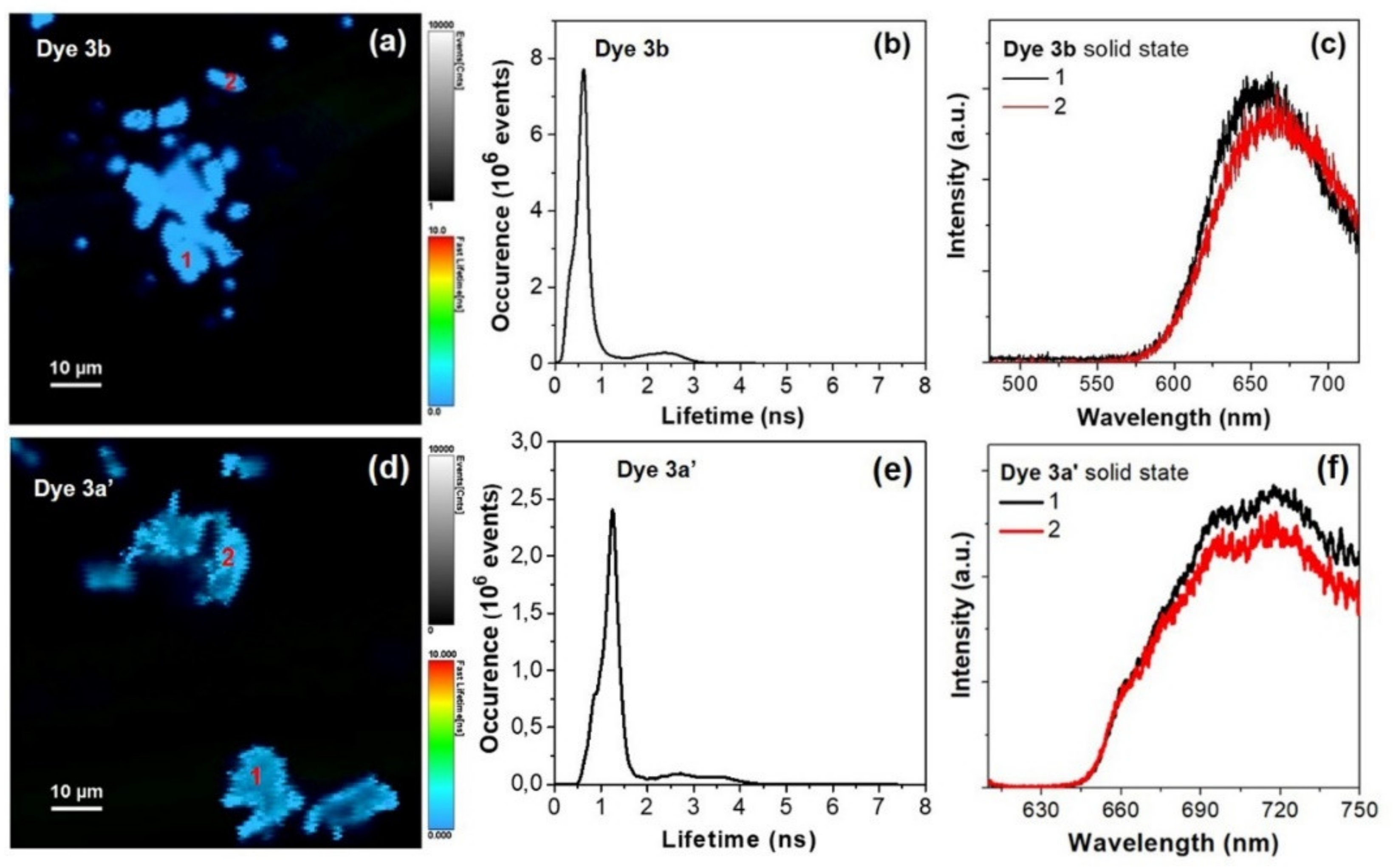 Ijms 22 02985 g007 Ijms 22 02985 g007